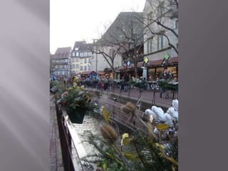 Colmar