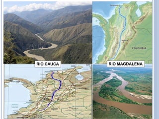 RIO MAGDALENA 
RIO CAUCA  