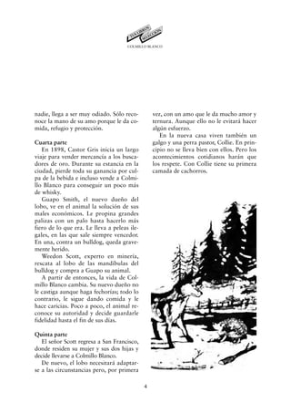 COLMILLO BLANCO




nadie, llega a ser muy odiado. Sólo reco-         vez, con un amo que le da mucho amor y
noce la mano de su amo porque le da co-           ternura. Aunque ello no le evitará hacer
mida, refugio y protección.                       algún esfuerzo.
                                                     En la nueva casa viven también un
Cuarta parte                                      galgo y una perra pastor, Collie. En prin-
   En 1898, Castor Gris inicia un largo           cipio no se lleva bien con ellos. Pero los
viaje para vender mercancía a los busca-          acontecimientos cotidianos harán que
dores de oro. Durante su estancia en la           los respete. Con Collie tiene su primera
ciudad, pierde toda su ganancia por cul-          camada de cachorros.
pa de la bebida e incluso vende a Colmi-
llo Blanco para conseguir un poco más
de whisky.
   Guapo Smith, el nuevo dueño del
lobo, ve en el animal la solución de sus
males económicos. Le propina grandes
palizas con un palo hasta hacerlo más
fiero de lo que era. Le lleva a peleas ile-
gales, en las que sale siempre vencedor.
En una, contra un bulldog, queda grave-
mente herido.
   Weedon Scott, experto en minería,
rescata al lobo de las mandíbulas del
bulldog y compra a Guapo su animal.
   A partir de entonces, la vida de Col-
millo Blanco cambia. Su nuevo dueño no
le castiga aunque haga fechorías; todo lo
contrario, le sigue dando comida y le
hace caricias. Poco a poco, el animal re-
conoce su autoridad y decide guardarle
fidelidad hasta el fin de sus días.

Quinta parte
   El señor Scott regresa a San Francisco,
donde residen su mujer y sus dos hijas y
decide llevarse a Colmillo Blanco.
   De nuevo, el lobo necesitará adaptar-
se a las circunstancias pero, por primera

                                              4
 