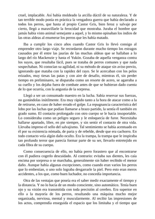 cruel, implacable. Así había moldeado la arcilla dúctil de su naturaleza. Y de
tan terrible modo ponía en práctica la vengadora guerra que había declarado a
todos los perros, que hasta al propio Castor Gris, bien feroz y salvaje por
cierto, llegó a maravillarle la ferocidad que mostraba. Juraba el hombre que
jamás había visto animal semejante a aquel, y lo mismo opinaban los indios de
las otras aldeas al enumerar los perros que les había matado.
Iba a cumplir los cinco años cuando Castor Gris lo llevó consigo al
emprender otro largo viaje. Se recordaron durante mucho tiempo los estragos
causados por él entre las jaurías de las muchas aldeas que se hallaban a lo
largo del río Mackenzie y hasta el Yukón. Gozaba de aquella venganza contra
los suyos, que resultaba fácil, pues se trataba de perros comunes y que nada
sospechaban. Ni conocían su agilidad, ni su método de ataque sin aviso previo,
ignorando que mataba con la rapidez del rayo. Se le acercaban con los pelos
erizados, muy tiesas las patas y con aire de desafío, mientras él, sin perder
tiempo en preliminares, se disparaba como un resorte de acero, se agarraba a
su cuello y los dejaba fuera de combate antes de que se hubieran dado cuenta
de lo que ocurría, con la angustia de la sorpresa.
Llegó a ser un consumado maestro en la lucha. Sabía reservar sus fuerzas,
no gastándolas inútilmente. Era muy rápido tanto a la hora de atacar como a la
de retirarse, en caso de haber errado el golpe. La repugnancia característica del
lobo por las luchas que podían llamarse a brazo partido, la sentía él también en
grado sumo. El contacto prolongado con otro cuerpo se le hacía insoportable.
Lo consideraba como un peligro seguro y le enloquecía de furor. Necesitaba
hallarse apartado, libre, en pie siempre, y sin sentir el contacto de otra vida.
Llevaba impreso el sello del salvajismo. Tal sentimiento se había acentuado en
él por su existencia nómada, de paria y de rebelde, desde que era cachorro. En
todo contacto veía algún daño oculto. Era la trampa, la trampa que le inspiraba
tan profundo terror que parecía formar parte de su ser, llevarlo entretejido en
cada fibra de su cuerpo.
Como consecuencia de ello, no había perro forastero que al encontrarse
con él pudiera cogerlo descuidado. Al contrario: evitaba sus dientes, les caía
encima por sorpresa o se marchaba, generalmente sin haber recibido el menor
daño. Aunque había algunas excepciones, como cuando eran varios los perros
que lo embestían, o uno solo lograba desgarrarle la piel. Pero esto eran meros
accidentes, a los que, como buen luchador, no concedía importancia.
Otra de las ventajas que poseía era el saber medir exactamente el tiempo y
la distancia. Y no lo hacía de un modo consciente, sino automático. Tenía buen
ojo y su visión era transmitida con toda precisión al cerebro. Era superior en
ello a la mayoría de los perros, resultando una máquina mucho mejor
organizada, nerviosa, mental y muscularmente. Al recibir las impresiones de
los actos, comprendía enseguida el espacio que los limitaba y el tiempo que
 