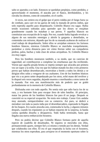 salto se apartaba a un lado. Entonces se quedaban perplejos, como perdidos, y
aprovechando el momento, él atacaba por el flanco, derribándolos, y les
clavaba los dientes, como de costumbre, en el cuello.
A veces, tan certero era el golpe que el perro rodaba por el fango fuera ya
de combate, para caer en las garras de toda la manada de perros indios, que
solo esperaba aquello para despedazarlo. Colmillo Blanco era sagaz. Había
tenido ocasiones sobradas para aprender que los dioses se enojaban
grandemente cuando les mataban a sus perros. Y aquellos blancos no
constituían una excepción de la regla. Por eso, cuando había logrado revolcar a
alguno de sus naturales enemigos y abrirle la garganta a dentelladas, se
contentaba con retirarse, dejando que los de su manada acabaran de realizar el
cruel trabajo de despedazarlo. Sobre ellos se arrojaban entonces los furiosos
hombres blancos, mientras Colmillo Blanco se marchaba tranquilamente,
parándose a cierta distancia para ver cómo llovían sobre sus compañeros
piedras, palos, hachas y toda clase de armas arrojadizas. Sí, Colmillo Blanco
era muy sagaz.
Pero los hombres mostraron también, a su modo, que no carecían de
sagacidad; así contribuyeron a completar las enseñanzas que iba recibiendo.
Vieron que aquella pesada broma se repetía siempre que atracaba por primera
vez un vapor a la orilla. Una vez que les habían matado los dos o tres primeros
perros que habían desembarcado, encerraban a bordo a todos los demás y se
dirigían ellos solos a vengarse de sus asaltantes. Uno de los hombres blancos
que vio a su perro setter despedazado por los otros, echó mano del revólver y
lo disparó seis veces seguidas, dejando muertos o moribundos a otros tantos de
la manada. Fue esta una manifestación más de poderío que se grabó
profundamente en la memoria de Colmillo Blanco.
Disfrutaba este con todo aquello. No sentía más que odio hacia los de su
raza, y era bastante listo para escapar ileso de tales batallas. Al principio,
matar los perros de los hombres blancos fue para él un juego. Después se
convirtió en su especial ocupación. No tenía otro trabajo. Castor Gris andaba
muy atareado, enriqueciéndose con su comercio. Así pues, se dedicó a
merodear con toda su jauría india por el desembarcadero, esperando la llegada
de los buques. En cuanto atracaba uno, comenzaba la lucha, y algunos minutos
después, cuando los tripulantes ya se habían repuesto de la sorpresa, la banda
canina quedaba disuelta y desaparecía. Todo había terminado, hasta que
llegaba una nueva embarcación forastera.
Pero no podría decirse que Colmillo Blanco formara parte de aquella
especie de cuadrilla de desalmados. Ni siquiera se mezclaba con ellos,
permaneciendo aparte, siempre fiel a sí mismo y temido por los demás. Verdad
que colaboraba con ellos. Él era el que empezaba la lucha con el forastero,
mientras los otros esperaban, para arrojarse en el momento oportuno sobre la
 