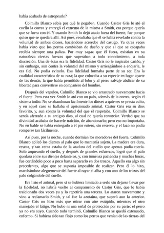 había acabado de estropearle?
Colmillo Blanco sabía por qué le pegaban. Cuando Castor Gris le ató al
cuello la correa y entregó el extremo de la misma a Smith, era porque quería
que se fuera con él. Y cuando Smith lo dejó atado fuera del fuerte, fue porque
quiso que se quedara allí. Así pues, resultaba que él se había revelado contra la
voluntad de ambos dioses, haciéndose acreedor del castigo. Ya otras veces
había visto que los perros cambiaban de dueño y que el que se escapaba
recibía siempre una paliza. Por muy sagaz que él fuera, existían en su
naturaleza ciertas fuerzas que superaban a todo conocimiento, a toda
discreción. Una de éstas era la fidelidad. Castor Gris no le inspiraba cariño, y
sin embargo, aun contra la voluntad del mismo y arriesgándose a enojarle, le
era fiel. No podía evitarlo. Esa fidelidad formaba parte de su ser. Era la
cualidad característica de su raza; la que colocaba a su especie en lugar aparte
de las demás; la que había permitido al lobo y al perro salvaje abdicar de su
libertad para convertirse en compañero del hombre.
Después del vapuleo, Colmillo Blanco se vio arrastrado nuevamente hacia
el fuerte. Pero esta vez Smith lo ató con un palo, además de la correa, según el
sistema indio. No se abandonan fácilmente los dioses a quienes se presta culto,
y en aquel caso se hallaba el aprisionado animal. Castor Gris era su dios
favorito, y, aun contra la voluntad del que él respetaba, Colmillo Blanco se
sentía aferrado a su antiguo dios, al cual no quería renunciar. Verdad que su
divinidad acababa de hacerle traición, de abandonarlo; pero eso no importaba.
No en balde se había entregado a él por entero, sin reserva, y el lazo no podía
romperse tan fácilmente.
Así pues, por la noche, cuando dormían los moradores del fuerte, Colmillo
Blanco aplicó los dientes al palo que lo mantenía sujeto. La madera era dura,
reseca, y tan cerca estaba de la atadura del cuello que apenas podía roerla.
Solo arqueando el cuello, y después de grandes esfuerzos, logró que el palo
quedara entre sus dientes delanteros, y, con inmensa paciencia y muchas horas,
fue cortándolo poco a poco hasta separarlo en dos trozos. Aquello era algo sin
precedentes, algo que se suponía imposible de realizar. Pero él lo hizo,
marchándose alegremente del fuerte al rayar el alba y con uno de los trozos del
palo colgándole del cuello.
Era listo el animal, pero si se hubiera limitado a serlo sin dejarse llevar por
la fidelidad, no habría vuelto al campamento de Castor Gris, que lo había
traicionado dos veces ya y lo repetiría una tercera. Lo ataron nuevamente y
vino a reclamarlo Smith, y tal fue la azotaina, que superó aun la anterior.
Castor Gris no hizo más que mirar con aire estúpido, mientras el otro
manejaba el látigo. No hubo ni una señal de protección por su parte: el perro
ya no era suyo. Cuando todo terminó, Colmillo Blanco se quedó extenuado,
enfermo. Si hubiera sido tan flojo como los perros que venían de las tierras del
 