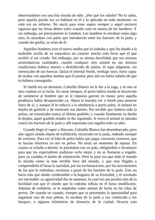 observándolos con una fría mirada de odio. ¿Por qué los odiaba? No lo sabía,
pero aquella pasión era ya habitual en él y la aplicaba en todo momento: su
vida era un infierno. No nació para estar sujeto siempre a aquel encierro
riguroso que las fieras deben sufrir cuando caen en manos de los hombres. Y
sin embargo, así precisamente lo trataban. Los hombres lo miraban como algo
raro; lo azuzaban con palos que introducían entre los barrotes de la jaula, y
cuando les gruñía, se reían de él.
Aquellos hombres eran el nuevo medio que lo rodeaba y que iba dando a la
maleable arcilla de su naturaleza un carácter mucho más feroz que el que
recibió al ser creado. Sin embargo, por su misma ductilidad, por sus mismas
acomodaticias cualidades, cuando cualquier otro animal en sus mismas
condiciones hubiera muerto o desfallecido de ánimo, él supo adaptarse, sin
menoscabo de sus fuerzas. Quizá el infernal Smith, verdugo suyo, fuera capaz
de acabar con aquellos ánimos que él poseía; pero aún no había señales de que
lo hubiera conseguido.
Si Smith era un demonio, Colmillo Blanco no le iba a la zaga, y ni uno ni
otro cejaban en la lucha. En otros tiempos, el perro habría tenido la discreción
de someterse al hombre que se le imponía garrote en mano; pero aquella
prudencia había desaparecido ya. Ahora le bastaba ver a Smith para ponerse
fuera de sí, y aunque él lo reducía a la obediencia a puros palos, el animal no
dejaba de gruñirle y de mostrarle sus dientes. Por terrible que hubiera sido la
paliza, no renunciaba nunca al último gruñido, y cuando finalmente su dueño
lo dejaba, aquel gruñido retador lo iba siguiendo. A veces el animal se lanzaba
contra los barrotes de la jaula y allí expresaba con rugidos todo su odio.
Cuando llegó el vapor a Dawson, Colmillo Blanco fue desembarcado; pero
aún siguió siendo objeto de exhibición, encerrado en la jaula, rodeado siempre
de curiosos. Para ver al lobo de pelea había que pagar cincuenta centavos, que
se hacían efectivos en oro en polvo. No tenía un momento de reposo. En
cuanto se echaba a dormir, lo pinchaban con un palo, obligándolo a levantarse
para que los espectadores pudieran verlo mejor y no se llamaran a engaño,
pues ya cuidaba el dueño de enfurecerlo. Pero lo peor era que todo el mundo
lo miraba como la más terrible fiera del mundo, y que esto llegaba a
comprenderlo él hasta la saciedad, por las exclamaciones, por los movimientos
de los que lo rodeaban, recelosos a pesar de los barrotes de la jaula. Esto no
hacía más que añadir combustible a la hoguera de su ferocidad, y el resultado
era inevitable: su agresividad iba en aumento, lo cual era una prueba más de la
facilidad con que el miedo que lo rodeaba influía en él hasta modificarlo.
Además de exhibirlo, se le empleaba como animal de lucha en las riñas de
perros. De cuando en cuando, siempre que se presentaba la oportunidad para
organizar una de esas peleas, lo sacaban de la jaula y era conducido a los
bosques, a algunos kilómetros de distancia de la ciudad. Ocurría esto
 
