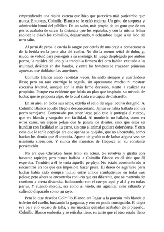 emprendiendo una rápida carrera que hizo que pareciera más patizambo que
nunca. Entonces, Colmillo Blanco se le echó encima. Un grito de sorpresa y
admiración brotó del público. De un salto, más propio de un gato que de un
perro, acababa de salvar la distancia que los separaba, y con la misma felina
rapidez le clavó los colmillos, desgarrando, y echándose luego a un lado de
otro salto.
Al perro de presa le corría la sangre por detrás de una oreja a consecuencia
de la herida en la parte alta del cuello. No dio la menor señal de dolor, y,
mudo, se volvió para perseguir a su enemigo. El juego desplegado por ambos
perros, la rapidez del uno y la tranquila firmeza del otro habían excitado a la
multitud, dividida en dos bandos, y entre los hombres se cruzaban primeras
apuestas o se doblaban las anteriores.
Colmillo Blanco atacó repetidas veces, hiriendo siempre y apartándose
ileso; pero su raro enemigo lo seguía, sin apresurarse mucho ni mostrar
excesiva lentitud, aunque con la más firme decisión, atento a realizar su
propósito. Porque era evidente que había un plan que inspiraba su método de
lucha: que se proponía algo, de lo cual nada era capaz de distraerlo.
En su aire, en todos sus actos, existía el sello de aquel oculto designio. A
Colmillo Blanco aquello llegó a desconcertarlo. Jamás se había hallado con un
perro semejante. Comenzaba por tener largo pelo que le protegía el cuerpo,
que era blando y sangraba con facilidad. Al morderle, no hallaba, como en
otros casos, un espeso pelaje que le parara los dientes, sino que estos se
hundían con facilidad en la carne, sin que el animal pudiera defenderse. Y otra
cosa que lo tenía perplejo era que apenas se quejaba, que no alborotaba, como
hacían los demás que él conocía. Aparte de gruñir o de ladrar alguna vez, se
mantenía silencioso. Y nunca dio muestras de flaqueza en su constante
persecución.
No era que Cherokee fuese lento en actuar. Se revolvía y giraba con
bastante rapidez; pero nunca hallaba a Colmillo Blanco en el sitio que él
esperaba. También a él le tenía aquello perplejo. No estaba acostumbrado a
encuentros en los que era imposible hacer presa. El deseo de agarrarse para
luchar había sido siempre mutuo entre ambos combatientes en todas sus
peleas; pero ahora se encontraba con uno que era diferente, que se mantenía de
continuo a cierta distancia, bailoteando con el cuerpo aquí y allá y en todas
partes. Y cuando mordía, era como al vuelo, sin aguantar, sino saltando y
saliendo disparado como un rayo.
Pero lo que deseaba Colmillo Blanco era llegar a la porción más blanda e
inferior del cuello, buscando la garganta, y esto no podía conseguirlo. El dogo
era para ello escaso de talla, y sus macizas quijadas acababan de protegerlo.
Colmillo Blanco embestía y se retiraba ileso, en tanto que el otro estaba lleno
 