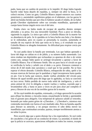pudo, hasta que un cambio de posición se lo impidió. El dogo había logrado
hacerle rodar hasta dejarlo de espaldas, y, siempre sin abrir la boca, se le
colocó encima. Como un gato, Colmillo Blanco arqueó entonces sus cuartos
posteriores y, asestándole rapidísimos golpes en el abdomen, con las garras le
abrió tan hondas heridas que por ellas le hubiese sacado el redaño, de no haber
girado Cherokee rápidamente sobre sus cerradas mandíbulas, apartando el
cuerpo hasta formar ángulo recto con el del otro.
Estaba claro: no había modo de escapar de aquellos dientes siempre
aferrados a su presa. Era una inexorable fatalidad. Poco a poco se elevaba,
siguiendo la yugular. Lo único que salvó a Colmillo Blanco de la muerte fue
su abundancia de pelo. Se le quedaba en la boca hecho una bola y los dientes
se le embotaban, pero en cuanto se presentaba la ocasión, aumentaba el
tamaño de esa especie de bola que tenía en la boca, y el resultado era que
Colmillo Blanco se ahogaba lentamente. Su dificultad para respirar crecía por
momentos.
Ya casi podía darse la batalla por terminada. Los que habían apostado a
favor del dogo no cabían en sí de júbilo, y su número había aumentado. Los
otros estaban tan deprimidos que rechazaban ya apuestas de diez o de veinte
contra uno, aunque hubo quien se arriesgó tercamente a apostar a favor de
Colmillo Blanco. Fue el Hermoso Smith. Dio un paso hacia el círculo en que
se verificaba la lucha y señaló con el dedo a su perro. Entonces comenzó a
reírse de él del modo más sarcástico y cruel que le fue posible. No se hizo
esperar el efecto deseado: Colmillo Blanco, enloquecido de rabia, apeló a las
escasas reservas de fuerzas que le quedaban y logró incorporarse hasta quedar
en pie. Con la lucha que sostuvo, dando vueltas alrededor del círculo para
librarse de aquel terrible peso del dogo que lo agobiaba, su furia se convirtió
en loco terror. Había perdido de nuevo toda señal de inteligencia, y solo el
ansia animal de vivir lo obligaba a repetir vueltas y vueltas, cayendo aquí y
levantándose allá, y hasta se puso a veces en pie para alzar por completo el
peso y librarse de una vez de las terribles garras de la muerte.
Al fin cayó tendido de espaldas, extenuado, y el dogo aprovechó la ocasión
para aflojar los dientes y clavarlos mejor, ensanchando la herida y apretándole
más el gaznate para ahogarlo. Una tempestad de aplausos saludó al vencedor,
brotando por todas partes gritos de «¡Cherokee…! ¡Cherokee!», mientras este
contestaba moviendo con fuerza el casi mutilado rabo. Pero no bastaba aquello
para distraer su atención, y no porque moviera el rabo debía mover las
mandíbulas, que continuaban cerradas, quietas, siempre terriblemente atentas a
no soltar la presa.
Pero ocurrió algo que a quien distrajo fue a los espectadores. Se oyó ruido
de cascabeles y los gritos de un conductor de trineo. La ansiedad, el miedo de
que la policía se acercara, aparecieron reflejados en todos los rostros, excepto
 