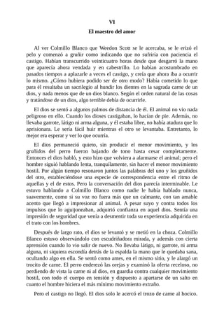 VI
El maestro del amor
Al ver Colmillo Blanco que Weedon Scott se le acercaba, se le erizó el
pelo y comenzó a gruñir como indicando que no sufriría con paciencia el
castigo. Habían transcurrido veinticuatro horas desde que desgarró la mano
que aparecía ahora vendada y en cabestrillo. Lo habían acostumbrado en
pasados tiempos a aplazarle a veces el castigo, y creía que ahora iba a ocurrir
lo mismo. ¿Cómo hubiera podido ser de otro modo? Había cometido lo que
para él resultaba un sacrilegio al hundir los dientes en la sagrada carne de un
dios, y nada menos que de un dios blanco. Según el orden natural de las cosas
y tratándose de un dios, algo terrible debía de ocurrirle.
El dios se sentó a algunos palmos de distancia de él. El animal no vio nada
peligroso en ello. Cuando los dioses castigaban, lo hacían de pie. Además, no
llevaba garrote, látigo ni arma alguna, y él estaba libre, no había atadura que lo
aprisionara. Le sería fácil huir mientras el otro se levantaba. Entretanto, lo
mejor era esperar y ver lo que ocurría.
El dios permaneció quieto, sin producir el menor movimiento, y los
gruñidos del perro fueron bajando de tono hasta cesar completamente.
Entonces el dios habló, y esto hizo que volviera a alarmarse el animal; pero el
hombre siguió hablando lenta, tranquilamente, sin hacer el menor movimiento
hostil. Por algún tiempo resonaron juntos las palabras del uno y los gruñidos
del otro, estableciéndose una especie de correspondencia entre el ritmo de
aquellas y el de estos. Pero la conversación del dios parecía interminable. Le
estuvo hablando a Colmillo Blanco como nadie le había hablado nunca,
suavemente, como si su voz no fuera más que un calmante, con tan amable
acento que llegó a impresionar al animal. A pesar suyo y contra todos los
impulsos que lo aguijoneaban, adquirió confianza en aquel dios. Sentía una
impresión de seguridad que venía a desmentir toda su experiencia adquirida en
el trato con los hombres.
Después de largo rato, el dios se levantó y se metió en la choza. Colmillo
Blanco estuvo observándolo con escudriñadora mirada, y además con cierta
aprensión cuando lo vio salir de nuevo. No llevaba látigo, ni garrote, ni arma
alguna, ni siquiera escondía detrás de la espalda la mano que le quedaba sana,
ocultando algo en ella. Se sentó como antes, en el mismo sitio, y le alargó un
trocito de carne. El perro enderezó las orejas y examinó la oferta receloso, no
perdiendo de vista la carne ni al dios, en guardia contra cualquier movimiento
hostil, con todo el cuerpo en tensión y dispuesto a apartarse de un salto en
cuanto el hombre hiciera el más mínimo movimiento extraño.
Pero el castigo no llegó. El dios solo le acercó el trozo de carne al hocico.
 