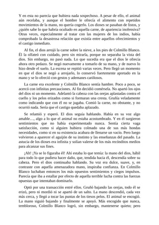 Y en esta no parecía que hubiera nada sospechoso. A pesar de ello, el animal
aún recelaba, y aunque el hombre le ofrecía el alimento con repetidos
movimientos de la mano, no quería cogerlo. Los dioses se pasaban de listos, y
¿quién sabe lo que habría ocultado en aquella carne, de apariencia inofensiva?
Otras veces, especialmente al tratar con las mujeres de los indios, había
comprobado la desastrosa relación que existía entre aquellos ofrecimientos y
el castigo inmediato.
Al fin, el dios arrojó la carne sobre la nieve, a los pies de Colmillo Blanco.
Él la olfateó con cuidado, pero sin mirarla, porque no separaba la vista del
dios. Sin embargo, no pasó nada. Lo que sucedía era que el dios le ofrecía
ahora otro pedazo. Se negó nuevamente a tomarlo de su mano, y de nuevo lo
hizo desde el suelo. La escena se repitió varias veces. Pero llegó un momento
en que el dios se negó a arrojarlo, lo conservó fuertemente apretado en la
mano y se lo ofreció con gestos y ademanes cariñosos.
La carne era excelente y Colmillo Blanco sentía hambre. Poco a poco, se
acercó con infinitas precauciones. Al fin decidió comérsela. No apartó los ojos
del dios ni un momento. Adelantó la cabeza con las orejas aplastadas contra el
cuello y los pelos erizados como si formaran una cresta. Gruñía veladamente
como indicando que con él no se jugaba. Comió la carne, no obstante, y no
ocurrió nada. Sería que el castigo quedaba aplazado.
Se relamió y esperó. El dios seguía hablando. Había en su voz algo
amable…, algo a lo que el animal no estaba acostumbrado. Y en él surgieron
sentimientos que no había experimentado nunca. Sentía cierta vaga
satisfacción, como si alguien hubiera colmado una de sus más hondas
necesidades, como si en su existencia acabara de llenarse un vacío. Pero luego
volvieron a aparecer el aguijón de su instinto y las enseñanzas del pasado. La
astucia de los dioses era infinita y solían valerse de los más recónditos medios
para alcanzar sus fines.
¡Ah! ¡Ya se lo figuraba él! Ahí estaba lo que temía: la mano del dios, hábil
para todo lo que pudiera hacer daño, que, tendida hacia él, descendía sobre su
cabeza. Pero el dios continuaba hablando. Su voz era dulce, suave, y, en
contraste con aquella amenazadora mano, inspiraba confianza. En Colmillo
Blanco luchaban entonces los más opuestos sentimientos y ciegos impulsos.
Parecía que iba a estallar por efecto de aquella terrible lucha contra las fuerzas
opuestas que intentaban dominarlo.
Optó por una transacción entré ellos. Gruñó bajando las orejas, todo él se
erizó, pero ni mordió ni se apartó de un salto. La mano descendió, cada vez
más cerca, y llegó a tocar las puntas de los tiesos pelos. El animal se encogió.
La mano siguió bajando y finalmente se apoyó. Más encogido que nunca,
tembloroso, Colmillo Blanco logró, sin embargo, mantenerse quieto; pero
 