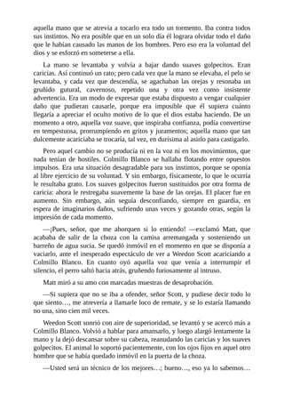 aquella mano que se atrevía a tocarlo era todo un tormento. Iba contra todos
sus instintos. No era posible que en un solo día él lograra olvidar todo el daño
que le habían causado las manos de los hombres. Pero eso era la voluntad del
dios y se esforzó en someterse a ella.
La mano se levantaba y volvía a bajar dando suaves golpecitos. Eran
caricias. Así continuó un rato; pero cada vez que la mano se elevaba, el pelo se
levantaba, y cada vez que descendía, se agachaban las orejas y resonaba un
gruñido gutural, cavernoso, repetido una y otra vez como insistente
advertencia. Era un modo de expresar que estaba dispuesto a vengar cualquier
daño que pudieran causarle, porque era imposible que él supiera cuánto
llegaría a apreciar el oculto motivo de lo que el dios estaba haciendo. De un
momento a otro, aquella voz suave, que inspiraba confianza, podía convertirse
en tempestuosa, prorrumpiendo en gritos y juramentos; aquella mano que tan
dulcemente acariciaba se trocaría, tal vez, en durísima al asirlo para castigarlo.
Pero aquel cambio no se producía ni en la voz ni en los movimientos, que
nada tenían de hostiles. Colmillo Blanco se hallaba flotando entre opuestos
impulsos. Era una situación desagradable para sus instintos, porque se oponía
al libre ejercicio de su voluntad. Y sin embargo, físicamente, lo que le ocurría
le resultaba grato. Los suaves golpecitos fueron sustituidos por otra forma de
caricia: ahora le restregaba suavemente la base de las orejas. El placer fue en
aumento. Sin embargo, aún seguía desconfiando, siempre en guardia, en
espera de imaginarios daños, sufriendo unas veces y gozando otras, según la
impresión de cada momento.
—¡Pues, señor, que me ahorquen si lo entiendo! —exclamó Matt, que
acababa de salir de la choza con la camisa arremangada y sosteniendo un
barreño de agua sucia. Se quedó inmóvil en el momento en que se disponía a
vaciarlo, ante el inesperado espectáculo de ver a Weedon Scott acariciando a
Colmillo Blanco. En cuanto oyó aquella voz que venía a interrumpir el
silencio, el perro saltó hacia atrás, gruñendo furiosamente al intruso.
Matt miró a su amo con marcadas muestras de desaprobación.
—Si supiera que no se iba a ofender, señor Scott, y pudiese decir todo lo
que siento…, me atrevería a llamarle loco de remate, y se lo estaría llamando
no una, sino cien mil veces.
Weedon Scott sonrió con aire de superioridad, se levantó y se acercó más a
Colmillo Blanco. Volvió a hablar para amansarlo, y luego alargó lentamente la
mano y la dejó descansar sobre su cabeza, reanudando las caricias y los suaves
golpecitos. El animal lo soportó pacientemente, con los ojos fijos en aquel otro
hombre que se había quedado inmóvil en la puerta de la choza.
—Usted será un técnico de los mejores…; bueno…, eso ya lo sabemos…
 