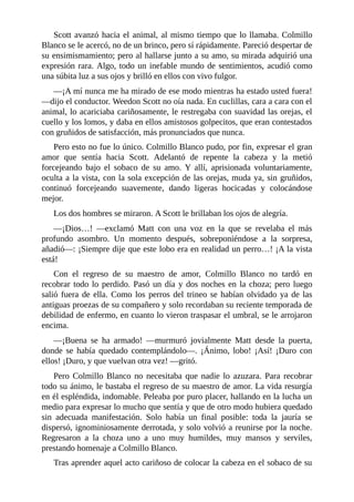 Scott avanzó hacia el animal, al mismo tiempo que lo llamaba. Colmillo
Blanco se le acercó, no de un brinco, pero sí rápidamente. Pareció despertar de
su ensimismamiento; pero al hallarse junto a su amo, su mirada adquirió una
expresión rara. Algo, todo un inefable mundo de sentimientos, acudió como
una súbita luz a sus ojos y brilló en ellos con vivo fulgor.
—¡A mí nunca me ha mirado de ese modo mientras ha estado usted fuera!
—dijo el conductor. Weedon Scott no oía nada. En cuclillas, cara a cara con el
animal, lo acariciaba cariñosamente, le restregaba con suavidad las orejas, el
cuello y los lomos, y daba en ellos amistosos golpecitos, que eran contestados
con gruñidos de satisfacción, más pronunciados que nunca.
Pero esto no fue lo único. Colmillo Blanco pudo, por fin, expresar el gran
amor que sentía hacia Scott. Adelantó de repente la cabeza y la metió
forcejeando bajo el sobaco de su amo. Y allí, aprisionada voluntariamente,
oculta a la vista, con la sola excepción de las orejas, muda ya, sin gruñidos,
continuó forcejeando suavemente, dando ligeras hocicadas y colocándose
mejor.
Los dos hombres se miraron. A Scott le brillaban los ojos de alegría.
—¡Dios…! —exclamó Matt con una voz en la que se revelaba el más
profundo asombro. Un momento después, sobreponiéndose a la sorpresa,
añadió—: ¡Siempre dije que este lobo era en realidad un perro…! ¡A la vista
está!
Con el regreso de su maestro de amor, Colmillo Blanco no tardó en
recobrar todo lo perdido. Pasó un día y dos noches en la choza; pero luego
salió fuera de ella. Como los perros del trineo se habían olvidado ya de las
antiguas proezas de su compañero y solo recordaban su reciente temporada de
debilidad de enfermo, en cuanto lo vieron traspasar el umbral, se le arrojaron
encima.
—¡Buena se ha armado! —murmuró jovialmente Matt desde la puerta,
donde se había quedado contemplándolo—. ¡Ánimo, lobo! ¡Así! ¡Duro con
ellos! ¡Duro, y que vuelvan otra vez! —gritó.
Pero Colmillo Blanco no necesitaba que nadie lo azuzara. Para recobrar
todo su ánimo, le bastaba el regreso de su maestro de amor. La vida resurgía
en él espléndida, indomable. Peleaba por puro placer, hallando en la lucha un
medio para expresar lo mucho que sentía y que de otro modo hubiera quedado
sin adecuada manifestación. Solo había un final posible: toda la jauría se
dispersó, ignominiosamente derrotada, y solo volvió a reunirse por la noche.
Regresaron a la choza uno a uno muy humildes, muy mansos y serviles,
prestando homenaje a Colmillo Blanco.
Tras aprender aquel acto cariñoso de colocar la cabeza en el sobaco de su
 