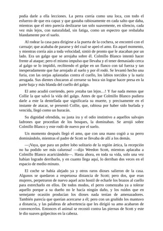 podía darle a ella lecciones. La perra corría como una loca, con todo el
esfuerzo de que era capaz y que gastaba rabiosamente en cada salto que daba,
mientras que el otro parecía deslizarse tan solo suavemente, en silencio, cada
vez más lejos, con naturalidad, sin fatiga, como un espectro que resbalaba
blandamente por el suelo.
Al rodear la casa para dirigirse a la puerta de la cochera, se encontró con el
carruaje; que acababa de pararse y del cual se apeó el amo. En aquel momento,
y mientras corría aún a toda velocidad, sintió de pronto que le atacaban por un
lado. Era un galgo que se arrojaba sobre él. Colmillo Blanco intentó hacer
frente al ataque; pero el mismo impulso que llevaba y el tener demasiado cerca
al galgo se lo impidió, recibiendo el golpe en un flanco con tal fuerza y tan
inesperadamente que fue arrojado al suelo y por él rodó. Se levantó hecho una
furia, con las orejas aplastadas contra el cuello, los labios torcidos y la nariz
arrugada. Sus dientes chocaron al cerrarse su boca sin lograr hacer presa en la
parte baja y más blanda del cuello del galgo.
El amo acudió corriendo, pero ¡estaba tan lejos…! Y fue nada menos que
Collie la que salvó la vida del galgo. Antes de que Colmillo Blanco pudiera
darle a este la dentellada que significaría su muerte, y precisamente en el
instante de atacar, se presentó Collie, que, rabiosa por haber sido burlada y
vencida, llegó como un huracán.
Su dignidad ofendida, su justa ira y el odio instintivo a aquellos salvajes
ladrones que procedían de los bosques, la dominaban. Se arrojó sobre
Colmillo Blanco y este rodó de nuevo por el suelo.
Un momento después llegó el amo, que con una mano cogió a su perro
dominándolo, mientras el padre de Scott se llevaba de allí a los demás.
—¡Vaya, que para un pobre lobo solitario de la región ártica, la recepción
no ha podido ser más calurosa! —dijo Weedon Scott, mientras aplacaba a
Colmillo Blanco acariciándolo—. Hasta ahora, en toda su vida, solo una vez
habían logrado derribarlo, y en cuanto llega aquí, lo derriban dos veces en el
espacio de medio minuto.
El coche se había alejado ya y otros raros dioses salieron de la casa.
Algunos se quedaron a respetuosa distancia de Scott; pero dos, que eran
mujeres, perpetraron de nuevo aquel acto hostil de echarle los brazos al cuello
para estrecharlo en ellos. De todos modos, el perro comenzaba ya a tolerar
aquello porque a su dueño no le hacía ningún daño, y los ruidos que en
semejante ocasión producían los dioses nada tenían de amenazadores.
También parecía que querían acercarse a él; pero con un gruñido los mantuvo
a distancia, y las palabras de advertencia que les dirigió su amo acabaron de
convencerlos. Entonces el animal se recostó contra las piernas de Scott y este
le dio suaves golpecitos en la cabeza.
 