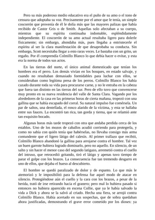Pero su más poderoso medio educativo era el puño de su amo o el tono de
censura que adoptaba su voz. Precisamente por el amor que le tenía, un simple
coscorrón que provenía de él le dolía más que las mayores palizas que había
recibido de Castor Gris o de Smith. Aquellas solo afectaban a su cuerpo,
mientras que su espíritu continuaba indomable, espléndidamente
independiente. El coscorrón de su amo actual resultaba ligero para dolerle
físicamente; sin embargo, ahondaba más, pues llegaba a entristecerle el
espíritu al ser la clara manifestación de que desaprobaba su conducta. Sin
embargo, Scott necesitaba llegar a esto raras veces. Le bastaba con un grito, un
regaño. Por él comprendía Colmillo Blanco lo que debía hacer o evitar, y esta
era la norma de todos sus actos.
En las tierras del norte, el único animal domesticado que tenían los
hombres era el perro. Los demás vivían en los bosques, en estado salvaje, y
cuando no resultaban demasiado formidables para luchar con ellos, se
consideraban como legítima presa de los perros. Colmillo Blanco los había
cazado durante toda su vida para procurarse carne, y no le entraba en la cabeza
que fuera tan distinto en las tierras del sur. Pero de ello tuvo que convencerse
muy pronto en su nueva residencia del valle de Santa Clara. Vagando por los
alrededores de la casa en las primeras horas de cierta mañana, tropezó con una
gallina que se había escapado del corral. Su natural impulso fue comérsela. Un
par de saltos, una dentellada, el ronco alarido de la víctima, y esta se hallaba
entre sus fauces. La encontró tan rica, tan gorda y tierna, que se relamió ante
tan exquisito bocado.
Algunas horas más tarde tropezó con otra que andaba perdida cerca de los
establos. Uno de los mozos de caballos acudió corriendo para protegerla, y
como no sabía con quién tenía que habérselas, no llevaba consigo más arma
contundente que el ligero látigo del calesín. Al primer trallazo que recibió,
Colmillo Blanco abandonó la gallina para arrojarse contra el hombre. Tal vez
un buen garrote hubiera logrado dominarlo, pero no aquello. En silencio, de un
salto y sin hacer el menor caso del segundo latigazo, arremetió contra el cuello
del intruso, que retrocedió gritando, tiró el látigo y apenas tuvo tiempo de
parar el golpe con los brazos. La consecuencia fue tan tremendo desgarro en
uno de ellos, que dejaba el hueso al descubierto.
El hombre se quedó paralizado de dolor y de espanto. Lo que más le
atemorizó y le imposibilitó para la defensa fue aquel modo de atacar en
silencio. Protegiéndose aún el cuello y la cara con los brazos, a pesar de la
herida, trató de irse retirando hacia el granero; pero mal lo hubiera pasado si
entonces no hubiera aparecido en escena Collie, que ya le había salvado la
vida a Dick y ahora se la salvó al criado. Hecha una fiera, se arrojó contra
Colmillo Blanco. Había acertado en sus sospechas, que de sobra quedaban
ahora justificadas, demostrando el grave error cometido por los dioses: ya
 