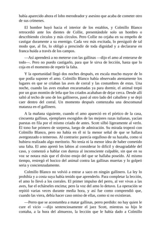 había aparecido ahora el lobo merodeador y asesino que acaba de cometer otro
de sus crímenes.
El hombre huyó hacia el interior de los establos, y Colmillo Blanco
retrocedió ante los dientes de Collie, presentándole solo un hombro o
describiendo círculos y más círculos. Pero Collie no cejaba en su empeño de
castigar duramente a su enemigo. Cada vez más excitada, lo persiguió de tal
modo que, al fin, lo obligó a prescindir de toda dignidad y a declararse en
franca huida a través de los campos.
—Así aprenderá a no meterse con las gallinas —dijo el amo al enterarse de
todo—. Pero no puedo castigarlo, para que le sirva de lección, hasta que lo
coja en el momento de repetir la falta.
Y la oportunidad llegó dos noches después, en escala mucho mayor de lo
que podía suponer el amo. Colmillo Blanco había observado atentamente los
lugares en que se criaban las aves de corral y las costumbres de estas. Una
noche, cuando las aves estaban encaramadas ya para dormir, el animal trepó
por un gran montón de leña que los criados acababan de dejar cerca. Desde allí
saltó al techo de uno de los gallineros, pasó al otro lado del caballete y se dejó
caer dentro del corral. Un momento después comenzaba una descomunal
matanza en el gallinero.
A la mañana siguiente, cuando el amo apareció en el pórtico de la casa,
cincuenta gallinas, ejemplares escogidos de las mejores razas italianas, yacían
puestas en fila por el mismo criado de antes. Scott silbó ligeramente al verlo.
El tono fue primero de sorpresa, luego de admiración. Su mirada tropezó con
Colmillo Blanco, pero no había en él ni la menor señal de que se hallara
avergonzado o temeroso. Al contrario: parecía orgulloso de su hazaña, como si
hubiera realizado algo meritorio. No tenía ni la menor idea de haber cometido
una falta. El amo apretó los labios al considerar lo difícil y desagradable del
caso, y comenzó a hablar con dureza al inconsciente culpable, sin que en su
voz se notara más que el divino enojo del que se hallaba poseído. Al mismo
tiempo, restregó el hocico del animal contra las gallinas muertas y lo golpeó
seria y concienzudamente.
Colmillo Blanco no volvió a entrar a saco en ningún gallinero. La ley lo
prohibía y a costa suya había tenido que aprenderlo. Para completar la lección,
el amo lo llevó a los corrales. El primer impulso del perro, al ver vivas a las
aves, fue el echárseles encima; pero la voz del amo lo detuvo. La operación se
repitió varias veces durante media hora, y así fue como comprendió que,
cuando las viera, debía hacer caso omiso de ellas, como si no existieran.
—Perro que se acostumbra a matar gallinas, perro perdido: no hay quien le
cure el vicio —dijo sentenciosamente el juez Scott, mientras su hijo le
contaba, a la hora del almuerzo, la lección que le había dado a Colmillo
 
