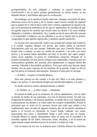 persiguiéndolos. Se veía obligado a violentar su natural instinto de
conservación y así lo hacía, porque gradualmente se volvía manso, se iba
dejando domar y haciéndose apto para la civilización.
Sin embargo, no le satisfacía mucho todo esto. Aunque careciendo de ideas
abstractas acerca de lo justo y de lo injusto, aquel mismo sentido de equidad
que es propio de la vida le hacía sentir más o menos vagamente la injusticia de
que no le permitieran defenderse de los que lo apedreaban. Se olvidaba de que
en aquella especie de contrato que existía entre los dioses y él, estos estaban
obligados a cuidarlo y defenderlo. Así, cuando un día el amo saltó del carruaje
y la emprendió a latigazos con los pilluelos y ya no se repitió más la pedrea,
comprendió lo que aquello significaba, y entonces quedó satisfecho.
Le ocurrió otro caso parecido. Junto a una posada del camino que conducía
a la ciudad, vagaban siempre tres perros, que solían salirle al encuentro
furiosamente cada vez que pasaba. Sabiendo que para Colmillo Blanco las
luchas eran a muerte, su amo no cesaba de enseñarle a no reñir con otros
perros, y el animal había aprendido tan bien la lección, que aquel ataque,
tantas veces repetido, lo ponía en violentísima situación. Después de la
primera arremetida, los tres perros siempre eran mantenidos a distancia por los
amenazadores gruñidos del atacado; pero rápidamente lo seguían detrás del
carruaje, ladrando y buscándole pendencia. Tuvo que sufrir esto durante algún
tiempo, con no poco regocijo de los hombres de la posada. Llegó un día en
que los perros le azuzaron abiertamente. Entonces el amo paró el carruaje.
—¡A ellos! —le gritó a Colmillo Blanco.
Pero este parecía no dar crédito a lo que oía. Miró a su amo primero y
luego a los perros. Y nuevamente dirigió una mirada interrogativa a su amo.
Su dueño movió la cabeza afirmativamente y añadió:
—Sí, hombre, sí…, ¡a ellos! Anda…, cómetelos.
El animal no dudó ya ni un momento. Se volvió rápidamente, y de un salto
se plantó en medio de sus enemigos. Los tres le hicieron frente. Se alzó una
tempestad de ladridos y de furiosos gruñidos, en medio de la cual chasqueaban
continuamente los dientes y se veían rodar los cuerpos confundidos. Pronto la
polvareda que se armó en la carretera formó una nube que velaba a los
combatientes; pero al cabo de algunos minutos, dos de los perros mordían el
polvo y el tercero se declaraba en franca huida, saltando una zanja,
atravesando una cerca y metiéndose luego a todo correr por un campo.
Colmillo Blanco lo siguió, deslizándose sobre el suelo con la suavidad y la
increíble rapidez de los lobos, silencioso, firme, decidido, y en el centro de
aquel mismo campo derribó al perro, lo arrastró y lo dejó sin vida.
Con la muerte de los tres se acabaron para Colmillo Blanco las molestias
 