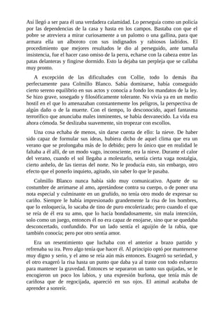 Así llegó a ser para él una verdadera calamidad. Lo perseguía como un policía
por las dependencias de la casa y hasta en los campos. Bastaba con que el
pobre se atreviera a mirar curiosamente a un palomo o una gallina, para que
armara ella un alboroto con sus indignados y rabiosos ladridos. El
procedimiento que mejores resultados le dio al perseguido, ante tamaña
insistencia, fue el hacer caso omiso de la perra, echarse con la cabeza entre las
patas delanteras y fingirse dormido. Esto la dejaba tan perpleja que se callaba
muy pronto.
A excepción de las dificultades con Collie, todo lo demás iba
perfectamente para Colmillo Blanco. Sabía dominarse, había conseguido
cierto sereno equilibrio en sus actos y conocía a fondo los mandatos de la ley.
Se hizo grave, sosegado y filosóficamente tolerante. No vivía ya en un medio
hostil en el que lo amenazaban constantemente los peligros, la perspectiva de
algún daño o de la muerte. Con el tiempo, lo desconocido, aquel fantasma
terrorífico que anunciaba males inminentes, se había desvanecido. La vida era
ahora cómoda. Se deslizaba suavemente, sin tropezar con escollos.
Una cosa echaba de menos, sin darse cuenta de ello: la nieve. De haber
sido capaz de formular sus ideas, hubiera dicho de aquel clima que era un
verano que se prolongaba más de lo debido; pero lo único que en realidad le
faltaba a él allí, de un modo vago, inconsciente, era la nieve. Durante el calor
del verano, cuando el sol llegaba a molestarlo, sentía cierta vaga nostalgia,
cierto anhelo, de las tierras del norte. No le producía esto, sin embargo, otro
efecto que el ponerlo inquieto, agitado, sin saber lo que le pasaba.
Colmillo Blanco nunca había sido muy comunicativo. Aparte de su
costumbre de arrimarse al amo, apretándose contra su cuerpo, o de poner una
nota especial y culminante en un gruñido, no tenía otro modo de expresar su
cariño. Siempre le había impresionado grandemente la risa de los hombres,
que lo enloquecía, lo sacaba de tino de puro encolerizado; pero cuando el que
se reía de él era su amo, que lo hacía bondadosamente, sin mala intención,
solo como un juego, entonces él no era capaz de enojarse, sino que se quedaba
desconcertado, confundido. Por un lado sentía el aguijón de la rabia, que
también conocía; pero por otro sentía amor.
Era un resentimiento que luchaba con el anterior a brazo partido y
refrenaba su ira. Pero algo tenía que hacer él. Al principio optó por mantenerse
muy digno y serio, y el amo se reía aún más entonces. Exageró su seriedad, y
el otro exageró la risa hasta un punto que daba ya al traste con todo esfuerzo
para mantener la gravedad. Entonces se separaron un tanto sus quijadas, se le
encogieron un poco los labios, y una expresión burlona, que tenía más de
cariñosa que de regocijada, apareció en sus ojos. El animal acababa de
aprender a sonreír.
 
