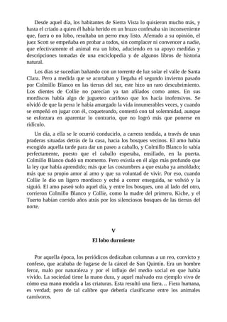 Desde aquel día, los habitantes de Sierra Vista lo quisieron mucho más, y
hasta el criado a quien él había herido en un brazo confesaba sin inconveniente
que, fuera o no lobo, resultaba un perro muy listo. Aferrado a su opinión, el
juez Scott se empeñaba en probar a todos, sin complacer ni convencer a nadie,
que efectivamente el animal era un lobo, aduciendo en su apoyo medidas y
descripciones tomadas de una enciclopedia y de algunos libros de historia
natural.
Los días se sucedían bañando con un torrente de luz solar el valle de Santa
Clara. Pero a medida que se acortaban y llegaba el segundo invierno pasado
por Colmillo Blanco en las tierras del sur, este hizo un raro descubrimiento.
Los dientes de Collie no parecían ya tan afilados como antes. En sus
mordiscos había algo de jugueteo cariñoso que los hacía inofensivos. Se
olvidó de que la perra le había amargado la vida innumerables veces, y cuando
se empeñó en jugar con él, coqueteando, contestó con tal solemnidad, aunque
se esforzara en aparentar lo contrario, que no logró más que ponerse en
ridículo.
Un día, a ella se le ocurrió conducirlo, a carrera tendida, a través de unas
praderas situadas detrás de la casa, hacia los bosques vecinos. El amo había
escogido aquella tarde para dar un paseo a caballo, y Colmillo Blanco lo sabía
perfectamente, puesto que el caballo esperaba, ensillado, en la puerta.
Colmillo Blanco dudó un momento. Pero existía en él algo más profundo que
la ley que había aprendido; más que las costumbres a que estaba ya amoldado;
más que su propio amor al amo y que su voluntad de vivir. Por eso, cuando
Collie le dio un ligero mordisco y echó a correr enseguida, se volvió y la
siguió. El amo paseó solo aquel día, y entre los bosques, uno al lado del otro,
corrieron Colmillo Blanco y Collie, como la madre del primero, Kiche, y el
Tuerto habían corrido años atrás por los silenciosos bosques de las tierras del
norte.
V
El lobo durmiente
Por aquella época, los periódicos dedicaban columnas a un reo, convicto y
confeso, que acababa de fugarse de la cárcel de San Quintín. Era un hombre
feroz, malo por naturaleza y por el influjo del medio social en que había
vivido. La sociedad tiene la mano dura, y aquel malvado era ejemplo vivo de
cómo esa mano modela a las criaturas. Esta resultó una fiera… Fiera humana,
es verdad; pero de tal calibre que debería clasificarse entre los animales
carnívoros.
 