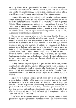 insultos y amenazas hasta que media docena de sus uniformados enemigos lo
arrastraron fuera de la sala del tribunal. Para él, el juez Scott era la clave de
toda aquella inmensa injusticia, y contra este se concentraron toda su rabia y
su sed de venganza. Fue a que le enterraran en vida…, pero se escapó.
Para Colmillo Blanco, todo aquello no existía; pero lo que sí existía era un
secreto entre él y la esposa del amo. Todas las noches, después de que los
habitantes de Sierra Vista se acostaran, ella se levantaba y le abría la puerta a
Colmillo Blanco para que entrara a dormir en el gran vestíbulo de la casa. Pero
como estaba acordado que el animal debía dormir fuera y no dentro de las
habitaciones, por no considerarse éstas sitio apropiado, todas las mañanas, en
las primeras horas, la señora bajaba secretamente y volvía a sacar al perro,
antes de que los demás estuvieran despiertos.
En una de esas noches, mientras todos dormían, Colmillo Blanco se
despertó, pero se quedó echado, completamente inmóvil. Y comenzó a
olfatear, a ventear más bien, percatándose de que en el aire le llegaba el
anuncio de la presencia de un dios forastero. Y más aún: oyó rumores
producidos por sus movimientos. El animal no prorrumpió en furiosos
ladridos, como hubiera hecho otro perro en su caso. No era su modo de
proceder. El dios forastero andaba suave, cautelosamente; pero con mayor
suavidad aún comenzó a andar Colmillo Blanco, libre del roce que en el otro
producían contra la carne los vestidos. Así, en silencio, fue siguiéndolo.
Estaba acostumbrado a cazar en los bosques animales de exagerada timidez a
los que el menor ruido azoraba, y por ello sabía todo el valor que la sorpresa
tiene en la caza al acecho.
El dios forastero se paró al pie de la gran escalera de la casa y estuvo
escuchando un rato, mientras Colmillo Blanco, inmóvil como un muerto, lo
acechaba y esperaba. La escalera conducía a las habitaciones del maestro de
amor y de sus seres más queridos. Con los pelos erizados, Colmillo Blanco
seguía esperando. El dios forastero levantó un pie. Iba a comenzar a subir la
escalera.
Aquel fue el momento escogido por el animal para el ataque. No hubo
aviso preliminar, no hubo gruñido alguno que anunciara la acción. Se levantó
tan alto como era y de un salto se dejó caer sobre la espalda de aquel dios
forastero. Le clavó las garras en los hombros y los colmillos en el cogote. Se
quedó allí aferrado un momento, el tiempo suficiente para arrastrar con su
peso a su víctima, haciéndola caer de espaldas. Luego, se desprendió de un
salto, y mientras el hombre hacía esfuerzos para incorporarse, volvió a
clavarle los dientes furiosamente.
Todo Sierra Vista despertó entonces, presa de la mayor alarma. El ruido
que subía de la parte baja de la casa era tan descomunal que parecía que veinte
 