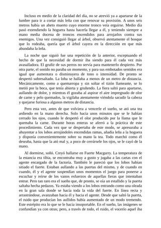 Incluso en medio de la claridad del día, no se atrevió ya a apartarse de la
lumbre para ir a cortar más leña con que renovar su provisión. A unos seis
metros había un abeto muerto cuyo enorme tronco veía erguirse. Medio día
pasó extendiendo la hoguera hasta hacerla llegar a él, y teniendo siempre a
mano media docena de troncos encendidos para arrojarlos contra sus
enemigos. Una vez consiguió llegar al árbol, observó atentamente el bosque
que lo rodeaba, quería que el árbol cayera en la dirección en que más
abundaba la leña.
La noche que siguió fue una repetición de la anterior, exceptuando el
hecho de que la necesidad de dormir iba siendo para él cada vez más
avasalladora. El gruñir de sus perros no servía para mantenerlo despierto. Por
otra parte, el sonido no paraba un momento, y para sus embotados sentidos era
igual que aumentara o disminuyera de tono o intensidad. De pronto se
despertó sobresaltado. La loba se hallaba a menos de un metro de distancia.
Mecánicamente, como a quemarropa y sin soltar el tizón llameante, se lo
metió por la boca, que tenía abierta y gruñendo. La fiera saltó para apartarse,
aullando de dolor, y mientras él gozaba al aspirar el aire impregnado de olor
de carne y pelo quemados, la vigilaba atentamente viéndola sacudir la cabeza
y quejarse furiosa a algunos metros de distancia.
Pero esta vez, antes de que volviera a vencerle el sueño, se ató una tea
ardiendo en la mano derecha. Solo hacía unos minutos que se le habían
cerrado los ojos, cuando le despertó el olor producido por la llama que le
quemaba la carne. Durante horas enteras se aferró a la práctica de este
procedimiento. Cada vez que se despertaba de este modo, se apresuraba a
ahuyentar a los lobos arrojándoles encendidas ramas, añadía leña a la hoguera
y disponía convenientemente sobre su mano la tea. Todo marchó como él
deseaba, hasta que la ató mal y, a poco de cerrársele los ojos, se le cayó de la
mano.
Al dormirse, soñó. Creyó hallarse en Fuerte Macgurry. La temperatura de
la estancia era tibia, se encontraba muy a gusto y jugaba a las cartas con el
agente encargado de la factoría. También le pareció que los lobos habían
sitiado el fuerte. Estaban aullando a las puertas del mismo, y de cuando en
cuando, él y el agente suspendían unos momentos el juego para ponerse a
escuchar y reírse de los vanos esfuerzos de aquellas fieras que intentaban
entrar. Pero tan raro era el sueño que, de pronto, se oía un estallido y la puerta
saltaba hecha pedazos. Ya estaba viendo a los lobos entrando como una oleada
en la gran sala donde se hacía toda la vida del fuerte. En línea recta y
arrastrándose, avanzaban hacia él y hacia el agente. Desde que saltó la puerta,
el ruido que producían los aullidos había aumentado de un modo tremendo.
Este estrépito era lo que se le hacía insoportable. En el sueño, las imágenes se
confundían ya con otras; pero, a través de todo, el ruido, el vocerío aquel iba
 