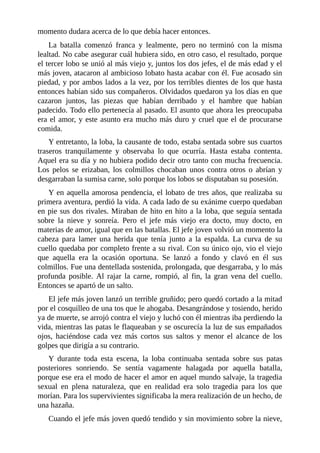 momento dudara acerca de lo que debía hacer entonces.
La batalla comenzó franca y lealmente, pero no terminó con la misma
lealtad. No cabe asegurar cuál hubiera sido, en otro caso, el resultado, porque
el tercer lobo se unió al más viejo y, juntos los dos jefes, el de más edad y el
más joven, atacaron al ambicioso lobato hasta acabar con él. Fue acosado sin
piedad, y por ambos lados a la vez, por los terribles dientes de los que hasta
entonces habían sido sus compañeros. Olvidados quedaron ya los días en que
cazaron juntos, las piezas que habían derribado y el hambre que habían
padecido. Todo ello pertenecía al pasado. El asunto que ahora les preocupaba
era el amor, y este asunto era mucho más duro y cruel que el de procurarse
comida.
Y entretanto, la loba, la causante de todo, estaba sentada sobre sus cuartos
traseros tranquilamente y observaba lo que ocurría. Hasta estaba contenta.
Aquel era su día y no hubiera podido decir otro tanto con mucha frecuencia.
Los pelos se erizaban, los colmillos chocaban unos contra otros o abrían y
desgarraban la sumisa carne, solo porque los lobos se disputaban su posesión.
Y en aquella amorosa pendencia, el lobato de tres años, que realizaba su
primera aventura, perdió la vida. A cada lado de su exánime cuerpo quedaban
en pie sus dos rivales. Miraban de hito en hito a la loba, que seguía sentada
sobre la nieve y sonreía. Pero el jefe más viejo era docto, muy docto, en
materias de amor, igual que en las batallas. El jefe joven volvió un momento la
cabeza para lamer una herida que tenía junto a la espalda. La curva de su
cuello quedaba por completo frente a su rival. Con su único ojo, vio el viejo
que aquella era la ocasión oportuna. Se lanzó a fondo y clavó en él sus
colmillos. Fue una dentellada sostenida, prolongada, que desgarraba, y lo más
profunda posible. Al rajar la carne, rompió, al fin, la gran vena del cuello.
Entonces se apartó de un salto.
El jefe más joven lanzó un terrible gruñido; pero quedó cortado a la mitad
por el cosquilleo de una tos que le ahogaba. Desangrándose y tosiendo, herido
ya de muerte, se arrojó contra el viejo y luchó con él mientras iba perdiendo la
vida, mientras las patas le flaqueaban y se oscurecía la luz de sus empañados
ojos, haciéndose cada vez más cortos sus saltos y menor el alcance de los
golpes que dirigía a su contrario.
Y durante toda esta escena, la loba continuaba sentada sobre sus patas
posteriores sonriendo. Se sentía vagamente halagada por aquella batalla,
porque ese era el modo de hacer el amor en aquel mundo salvaje, la tragedia
sexual en plena naturaleza, que en realidad era solo tragedia para los que
morían. Para los supervivientes significaba la mera realización de un hecho, de
una hazaña.
Cuando el jefe más joven quedó tendido y sin movimiento sobre la nieve,
 