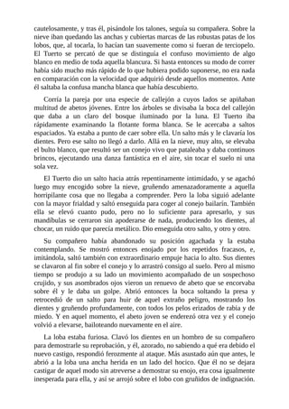 cautelosamente, y tras él, pisándole los talones, seguía su compañera. Sobre la
nieve iban quedando las anchas y cubiertas marcas de las robustas patas de los
lobos, que, al tocarla, lo hacían tan suavemente como si fueran de terciopelo.
El Tuerto se percató de que se distinguía el confuso movimiento de algo
blanco en medio de toda aquella blancura. Si hasta entonces su modo de correr
había sido mucho más rápido de lo que hubiera podido suponerse, no era nada
en comparación con la velocidad que adquirió desde aquellos momentos. Ante
él saltaba la confusa mancha blanca que había descubierto.
Corría la pareja por una especie de callejón a cuyos lados se apiñaban
multitud de abetos jóvenes. Entre los árboles se divisaba la boca del callejón
que daba a un claro del bosque iluminado por la luna. El Tuerto iba
rápidamente examinando la flotante forma blanca. Se le acercaba a saltos
espaciados. Ya estaba a punto de caer sobre ella. Un salto más y le clavaría los
dientes. Pero ese salto no llegó a darlo. Allá en la nieve, muy alto, se elevaba
el bulto blanco, que resultó ser un conejo vivo que pataleaba y daba continuos
brincos, ejecutando una danza fantástica en el aire, sin tocar el suelo ni una
sola vez.
El Tuerto dio un salto hacia atrás repentinamente intimidado, y se agachó
luego muy encogido sobre la nieve, gruñendo amenazadoramente a aquella
horripilante cosa que no llegaba a comprender. Pero la loba siguió adelante
con la mayor frialdad y saltó enseguida para coger al conejo bailarín. También
ella se elevó cuanto pudo, pero no lo suficiente para apresarlo, y sus
mandíbulas se cerraron sin apoderarse de nada, produciendo los dientes, al
chocar, un ruido que parecía metálico. Dio enseguida otro salto, y otro y otro.
Su compañero había abandonado su posición agachada y la estaba
contemplando. Se mostró entonces enojado por los repetidos fracasos, e,
imitándola, saltó también con extraordinario empuje hacia lo alto. Sus dientes
se clavaron al fin sobre el conejo y lo arrastró consigo al suelo. Pero al mismo
tiempo se produjo a su lado un movimiento acompañado de un sospechoso
crujido, y sus asombrados ojos vieron un renuevo de abeto que se encorvaba
sobre él y le daba un golpe. Abrió entonces la boca soltando la presa y
retrocedió de un salto para huir de aquel extraño peligro, mostrando los
dientes y gruñendo profundamente, con todos los pelos erizados de rabia y de
miedo. Y en aquel momento, el abeto joven se enderezó otra vez y el conejo
volvió a elevarse, bailoteando nuevamente en el aire.
La loba estaba furiosa. Clavó los dientes en un hombro de su compañero
para demostrarle su reprobación, y él, azorado, no sabiendo a qué era debido el
nuevo castigo, respondió ferozmente al ataque. Más asustado aún que antes, le
abrió a la loba una ancha herida en un lado del hocico. Que él no se dejara
castigar de aquel modo sin atreverse a demostrar su enojo, era cosa igualmente
inesperada para ella, y así se arrojó sobre el lobo con gruñidos de indignación.
 