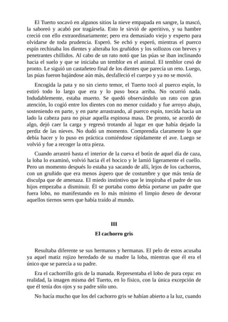 El Tuerto socavó en algunos sitios la nieve empapada en sangre, la mascó,
la saboreó y acabó por tragársela. Esto le sirvió de aperitivo, y su hambre
creció con ello extraordinariamente; pero era demasiado viejo y experto para
olvidarse de toda prudencia. Esperó. Se echó y esperó, mientras el puerco
espín rechinaba los dientes y alteraba los gruñidos y los sollozos con breves y
penetrantes chillidos. Al cabo de un rato notó que las púas se iban inclinando
hacia el suelo y que se iniciaba un temblor en el animal. El temblor cesó de
pronto. Le siguió un castañeteo final de los dientes que parecía un reto. Luego,
las púas fueron bajándose aún más, desfalleció el cuerpo y ya no se movió.
Encogida la pata y no sin cierto temor, el Tuerto tocó al puerco espín, lo
estiró todo lo largo que era y lo puso boca arriba. No ocurrió nada.
Indudablemente, estaba muerto. Se quedó observándolo un rato con gran
atención, lo cogió entre los dientes con no menor cuidado y fue arroyo abajo,
sosteniendo en parte, y en parte arrastrando, al puerco espín, torcida hacia un
lado la cabeza para no pisar aquella espinosa masa. De pronto, se acordó de
algo, dejó caer la carga y regresó trotando al lugar en que había dejado la
perdiz de las nieves. No dudó un momento. Comprendía claramente lo que
debía hacer y lo puso en práctica comiéndose rápidamente el ave. Luego se
volvió y fue a recoger la otra pieza.
Cuando arrastró hasta el interior de la cueva el botín de aquel día de caza,
la loba lo examinó, volvió hacia él el hocico y le lamió ligeramente el cuello.
Pero un momento después lo estaba ya sacando de allí, lejos de los cachorros,
con un gruñido que era menos áspero que de costumbre y que más tenía de
disculpa que de amenaza. El miedo instintivo que le inspiraba el padre de sus
hijos empezaba a disminuir. Él se portaba como debía portarse un padre que
fuera lobo, no manifestando en lo más mínimo el limpio deseo de devorar
aquellos tiernos seres que había traído al mundo.
III
El cachorro gris
Resultaba diferente se sus hermanos y hermanas. El pelo de estos acusaba
ya aquel matiz rojizo heredado de su madre la loba, mientras que él era el
único que se parecía a su padre.
Era el cachorrillo gris de la manada. Representaba el lobo de pura cepa: en
realidad, la imagen misma del Tuerto, en lo físico, con la única excepción de
que él tenía dos ojos y su padre sólo uno.
No hacía mucho que los del cachorro gris se habían abierto a la luz, cuando
 