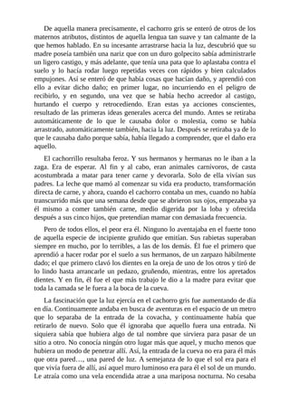 De aquella manera precisamente, el cachorro gris se enteró de otros de los
maternos atributos, distintos de aquella lengua tan suave y tan calmante de la
que hemos hablado. En su incesante arrastrarse hacia la luz, descubrió que su
madre poseía también una nariz que con un duro golpecito sabía administrarle
un ligero castigo, y más adelante, que tenía una pata que lo aplastaba contra el
suelo y lo hacía rodar luego repetidas veces con rápidos y bien calculados
empujones. Así se enteró de que había cosas que hacían daño, y aprendió con
ello a evitar dicho daño; en primer lugar, no incurriendo en el peligro de
recibirlo, y en segundo, una vez que se había hecho acreedor al castigo,
hurtando el cuerpo y retrocediendo. Eran estas ya acciones conscientes,
resultado de las primeras ideas generales acerca del mundo. Antes se retiraba
automáticamente de lo que le causaba dolor o molestia, como se había
arrastrado, automáticamente también, hacia la luz. Después se retiraba ya de lo
que le causaba daño porque sabía, había llegado a comprender, que el daño era
aquello.
El cachorrillo resultaba feroz. Y sus hermanos y hermanas no le iban a la
zaga. Era de esperar. Al fin y al cabo, eran animales carnívoros, de casta
acostumbrada a matar para tener carne y devorarla. Solo de ella vivían sus
padres. La leche que mamó al comenzar su vida era producto, transformación
directa de carne, y ahora, cuando el cachorro contaba un mes, cuando no había
transcurrido más que una semana desde que se abrieron sus ojos, empezaba ya
él mismo a comer también carne, medio digerida por la loba y ofrecida
después a sus cinco hijos, que pretendían mamar con demasiada frecuencia.
Pero de todos ellos, el peor era él. Ninguno lo aventajaba en el fuerte tono
de aquella especie de incipiente gruñido que emitían. Sus rabietas superaban
siempre en mucho, por lo terribles, a las de los demás. Él fue el primero que
aprendió a hacer rodar por el suelo a sus hermanos, de un zarpazo hábilmente
dado; el que primero clavó los dientes en la oreja de uno de los otros y tiró de
lo lindo hasta arrancarle un pedazo, gruñendo, mientras, entre los apretados
dientes. Y en fin, él fue el que más trabajo le dio a la madre para evitar que
toda la camada se le fuera a la boca de la cueva.
La fascinación que la luz ejercía en el cachorro gris fue aumentando de día
en día. Continuamente andaba en busca de aventuras en el espacio de un metro
que lo separaba de la entrada de la covacha, y continuamente había que
retirarlo de nuevo. Solo que él ignoraba que aquello fuera una entrada. Ni
siquiera sabía que hubiera algo de tal nombre que sirviera para pasar de un
sitio a otro. No conocía ningún otro lugar más que aquel, y mucho menos que
hubiera un modo de penetrar allí. Así, la entrada de la cueva no era para él más
que otra pared…, una pared de luz. A semejanza de lo que el sol era para el
que vivía fuera de allí, así aquel muro luminoso era para él el sol de un mundo.
Le atraía como una vela encendida atrae a una mariposa nocturna. No cesaba
 