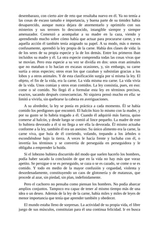 desembarazo, con cierto aire de reto que resultaba nuevo en él. Ya no temía a
las cosas de escaso tamaño e importancia, y buena parte de su timidez había
desaparecido, aunque nunca dejara de atormentarlo y oprimirlo con sus
misterios y sus terrores lo desconocido, intangible siempre y siempre
amenazador. Comenzó a acompañar a su madre en la caza, viendo y
aprendiendo mucho sobre cómo había que actuar para procurarse carne, y en
aquella acción él también tenía asignado su papel. A su modo, más o menos
confusamente, aprendió la ley propia de la carne. Había dos clases de vida: la
de los seres de su propia especie y la de los demás. Entre los primeros iban
incluidos su madre y él. La otra especie comprendía todas las cosas vivas que
se movían. Pero esta especie a su vez se dividía en dos: unos eran animales
que no mataban o lo hacían en escasas ocasiones, y, sin embargo, su carne
surtía a otras especies; otros eran los que cazaban y subsistían gracias a los
lobos y a otros animales. Y de esta clasificación surgía por sí misma la ley. El
objeto, el fin de la vida, era la carne. La vida misma era carne. La vida vivía
de la vida. Unos comían y otros eran comidos. La ley consistía, pues, en eso:
come o sé comido. No llegó él a formular esta ley en términos precisos,
exactos, sacando después consecuencias. Ni siquiera pensó mucho en ella: se
limitó a vivirla, sin quebrarse la cabeza en averiguaciones.
A su alrededor, la ley se ponía en práctica a cada momento. Él se había
comido los perdigones que encontró. El halcón hizo lo mismo con la madre, y
por su gusto se lo habría tragado a él. Cuando él adquirió más fuerza, quiso
comerse al halcón, y desde luego se comió al lince pequeño. La madre de este
lo hubiera devorado a él si no llega a ser ella la devorada. Él mismo actuaba
conforme a la ley, también él era un asesino. Su único alimento era la carne, la
carne viva, que huía de él corriendo, volando, trepando a los árboles o
escondiéndose bajo la tierra. A veces le hacía frente y luchaba con él, o
invertía los términos y se convertía de perseguida en perseguidora y le
obligaba a emprender la huida.
Si el lobezno hubiera discurrido del modo que suelen hacerlo los hombres,
podía haber sacado la conclusión de que en la vida no hay más que voraz
apetito. Se persigue o se es perseguido, se caza o se es cazado, se come o se es
comido. Y todo en medio de la mayor confusión y ceguedad, violenta y
desordenadamente, constituyendo un caos de glotonería y de matanzas, que
procede al azar, sin piedad, sin plan, indefinidamente.
Pero el cachorro no pensaba como piensan los hombres. No podía abarcar
amplios conjuntos. Tampoco era capaz de tener al mismo tiempo más de una
idea o un deseo. Además de la ley de la carne, había miles y miles de leyes de
menor importancia que tenía que aprender también y obedecer.
El mundo estaba lleno de sorpresas. La actividad de su propia vida, el libre
juego de sus músculos, constituían para él una continua felicidad. Ir en busca
 