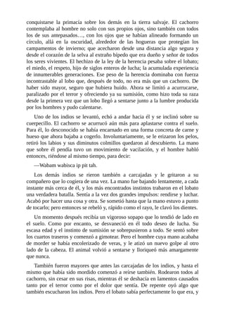 conquistarse la primacía sobre los demás en la tierra salvaje. El cachorro
contemplaba al hombre no solo con sus propios ojos, sino también con todos
los de sus antepasados…, con los ojos que se habían alineado formando un
círculo, allá en la oscuridad, alrededor de las hogueras que protegían los
campamentos de invierno; que acecharon desde una distancia algo segura y
desde el corazón de la selva al extraño bípedo que era dueño y señor de todos
los seres vivientes. El hechizo de la ley de la herencia pesaba sobre el lobato;
el miedo, el respeto, hijo de siglos enteros de lucha; la acumulada experiencia
de innumerables generaciones. Ese peso de la herencia dominaba con fuerza
incontrastable al lobo que, después de todo, no era más que un cachorro. De
haber sido mayor, seguro que hubiera huido. Ahora se limitó a acurrucarse,
paralizado por el terror y ofreciendo ya su sumisión, como hizo toda su raza
desde la primera vez que un lobo llegó a sentarse junto a la lumbre producida
por los hombres y pudo calentarse.
Uno de los indios se levantó, echó a andar hacia él y se inclinó sobre su
cuerpecillo. El cachorro se acurrucó aún más para aplastarse contra el suelo.
Para él, lo desconocido se había encarnado en una forma concreta de carne y
hueso que ahora bajaba a cogerlo. Involuntariamente, se le erizaron los pelos,
retiró los labios y sus diminutos colmillos quedaron al descubierto. La mano
que sobre él pendía tuvo un movimiento de vacilación, y el hombre habló
entonces, riéndose al mismo tiempo, para decir:
—Wabam wabisca ip pit tah.
Los demás indios se rieron también a carcajadas y le gritaron a su
compañero que lo cogiera de una vez. La mano fue bajando lentamente, a cada
instante más cerca de él, y los más encontrados instintos trabaron en el lobato
una verdadera batalla. Sentía a la vez dos grandes impulsos: rendirse y luchar.
Acabó por hacer una cosa y otra. Se sometió hasta que la mano estuvo a punto
de tocarlo; pero entonces se rebeló y, rápido como el rayo, le clavó los dientes.
Un momento después recibía un vigoroso sopapo que lo tendió de lado en
el suelo. Como por encanto, se desvaneció en él todo deseo de lucha. Su
escasa edad y el instinto de sumisión se sobrepusieron a todo. Se sentó sobre
los cuartos traseros y comenzó a gimotear. Pero el hombre cuya mano acababa
de morder se había encolerizado de veras, y le atizó un nuevo golpe al otro
lado de la cabeza. El animal volvió a sentarse y lloriqueó más amargamente
que nunca.
También fueron mayores que antes las carcajadas de los indios, y hasta el
mismo que había sido mordido comenzó a reírse también. Rodearon todos al
cachorro, sin cesar en sus risas, mientras él se deshacía en lamentos causados
tanto por el terror como por el dolor que sentía. De repente oyó algo que
también escucharon los indios. Pero el lobato sabía perfectamente lo que era, y
 