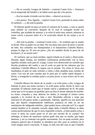 —No es extraño, Lengua de Salmón —contestó Castor Gris—. Entonces
era la temporada del hambre y no había carne que dar a los perros.
—Esa ha estado viviendo con los lobos —observó un tercero.
—Así parece, Tres Águilas —replicó Castor Gris, poniendo la mano sobre
el cachorro—, y ahí está la prueba.
El lobezno gruñó un poco al sentir el contacto de la mano, y esta se apartó
para soltarle un coscorrón, después de lo cual el castigado ocultó sus
colmillos, que acababa de mostrar, y se echó al suelo muy sumiso, mientras la
mano volvía a posarse sobre él y lo acariciaba detrás de las orejas y en el
lomo.
—Ahí está la prueba —continuó Castor Gris—. Es evidente que su madre
es Kiche. Pero su padre era un lobo. Por eso tiene muy poco de perro y mucho
de lobo. Sus colmillos son blanquísimos y le llamaremos Colmillo Blanco,
porque lo digo yo. Él será mi perro. ¿No era también Kiche la perra de mi
hermano? ¿Y no murió este?
El cachorro, que ya tenía nombre, siguió echado en el suelo y observando.
Durante algún tiempo, los hombres continuaron produciendo con la boca
aquellos sonidos raros para él. Luego, Castor Gris desenvainó un cuchillo que
llevaba pendiente del cuello y con él cortó un palo de los arbustos que los
rodeaban; Colmillo Blanco lo seguía con la mirada. Vio cómo le hacía una
entalladura al palo en cada extremo y cómo a ellas anudaba unas cuerdas de
cuero. Con una de esas cuerdas que le pasó por el cuello sujetó después a
Kiche, y enseguida la condujo junto a un pino joven, a cuyo tronco ató la otra
cuerda.
Colmillo Blanco fue detrás de su madre y se echó junto a ella. Lengua de
Salmón le puso una mano encima y lo echó patas arriba. Kiche lo miró con
ansiedad. El lobezno sintió que el miedo volvía a apoderarse de él. No pudo
evitar que se le escapara un gruñido; pero no hizo el menor ademán de morder.
La mano, crispados y muy abiertos los dedos, le restregó el vientre como
jugando y lo revolcó de un lado a otro. Resultaba ridículo y torpe que
estuviera él allí panza arriba y pataleando. Además, aquella era una posición
que, por dejarlo completamente indefenso, producía en todo su ser un
sentimiento de indignada rebelión. ¿Qué podría hacer colocado así? Si a aquel
animal hombre se le antojaba causarle algún daño, Colmillo Blanco se daba
cuenta perfectamente de que le sería imposible evitarlo. ¿Cómo podría echar a
correr si tenía las cuatro patas en el aire por encima de su cuerpo? Sin
embargo, el deseo de mostrarse sumiso pudo más que su miedo, que logró
dominar, y así se contentó con gruñir suavemente. Eso no pudo evitarlo, pero
tampoco pareció que el hombre se ofendiera por ello, pues al cachorro no le
costó ningún nuevo coscorrón. Y luego, lo más raro del caso es que Colmillo
 