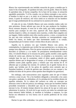 Blanco fue experimentando una inefable sensación de gusto a medida que la
mano le iba restregando. Al quedarse de lado, cesó de gruñir. Ahora los dedos
lo apretaban más, le hacían cosquillas. En la base de las orejas, la sensación
agradable aumentaba. Y al fin, cuando, con un último restregón y una caricia,
el hombre lo dejó en paz y se alejó, en el lobezno había desaparecido todo
temor. A partir de entonces, mil veces sintió en su relación con los hombres
que el rasgo predominante de esa amistad era la ausencia de temor.
Al cabo de un rato, Colmillo Blanco oyó unos extraños ruidos cada vez
más próximos. Pronto adivinó que eran de los que producen los hombres.
Pocos minutos después, el resto de la tribu india, que había emprendido la
marcha para acampar en otro sitio, apareció allí. Eran algunos hombres,
muchas mujeres y niños, en conjunto unos cuarenta, y todos iban cargados con
sus bagajes. Había también entre ellos muchos perros, y estos, a excepción de
los que aún eran cachorros, llevaban asimismo su correspondiente carga.
Sobre los lomos, en fardos que iban fuertemente atados a su cuerpo,
transportaban por lo menos veinte o treinta libras de peso cada uno.
Aquella era la primera vez que Colmillo Blanco veía perros. Al
contemplarlos, la impresión que recibió fue que pertenecían a su misma raza,
aunque eran algo diferentes. Pero los perros actuaron de forma muy distinta al
descubrir al cachorro y a su madre. Se precipitaron inmediatamente contra
ellos. A Colmillo Blanco se le erizaron los pelos; gruñó; mordió a toda aquella
oleada de carnes que, abiertas las fauces, se arrojaban a su encuentro; cayó
rodando bajo los que lo acometían; sintió el dolor agudo producido por
aquellos dientes que le desgarraban el cuerpo, y él mismo mordió y desgarró
también cuanto pudo aquellas patas y vientres que veía encima de él. El
alboroto que se produjo fue enorme. El cachorro oía el gruñir furioso de su
madre, que luchaba por él; los gritos de aquellos otros animales que se
llamaban hombres, el ruido de garrotes que chocaban con sus cuerpos y los
aullidos de dolor de los perros contra quienes iban dirigidos los garrotazos.
Sin embargo, solo transcurrieron unos segundos antes de que el lobato
volviera a estar en pie. Vio a los hombres obligando a retroceder a los canes
con palos y pedradas. Lo defendían a él, lo salvaban de los terribles dientes de
aquellos animales. En la cabeza del cachorro no cabía un concepto tan
abstracto como la idea de justicia; sin embargo, intuía que los hombres habían
procedido rectamente y descubrió que una de sus funciones era dictar y
ejecutar la ley. Al mismo tiempo observó las armas de las que se valen para
administrar la justicia. Al revés de lo que ocurría con todos los animales que
hasta entonces había hallado, ni mordían ni luchaban a zarpazos. Lo que
hacían era robustecer su viva fuerza con el auxilio poderoso de las cosas
muertas.
Hacían lo que ellos ordenaban. Los palos y las piedras, dirigidos por los
 
