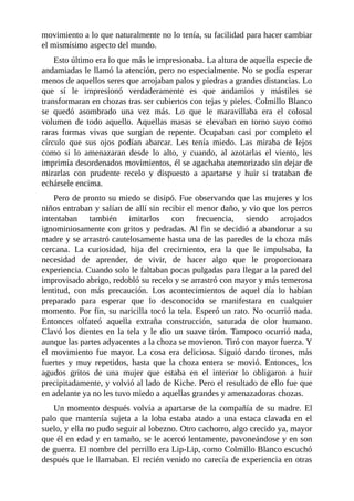 movimiento a lo que naturalmente no lo tenía, su facilidad para hacer cambiar
el mismísimo aspecto del mundo.
Esto último era lo que más le impresionaba. La altura de aquella especie de
andamiadas le llamó la atención, pero no especialmente. No se podía esperar
menos de aquellos seres que arrojaban palos y piedras a grandes distancias. Lo
que sí le impresionó verdaderamente es que andamios y mástiles se
transformaran en chozas tras ser cubiertos con tejas y pieles. Colmillo Blanco
se quedó asombrado una vez más. Lo que le maravillaba era el colosal
volumen de todo aquello. Aquellas masas se elevaban en torno suyo como
raras formas vivas que surgían de repente. Ocupaban casi por completo el
círculo que sus ojos podían abarcar. Les tenía miedo. Las miraba de lejos
como si lo amenazaran desde lo alto, y cuando, al azotarlas el viento, les
imprimía desordenados movimientos, él se agachaba atemorizado sin dejar de
mirarlas con prudente recelo y dispuesto a apartarse y huir si trataban de
echársele encima.
Pero de pronto su miedo se disipó. Fue observando que las mujeres y los
niños entraban y salían de allí sin recibir el menor daño, y vio que los perros
intentaban también imitarlos con frecuencia, siendo arrojados
ignominiosamente con gritos y pedradas. Al fin se decidió a abandonar a su
madre y se arrastró cautelosamente hasta una de las paredes de la choza más
cercana. La curiosidad, hija del crecimiento, era la que le impulsaba, la
necesidad de aprender, de vivir, de hacer algo que le proporcionara
experiencia. Cuando solo le faltaban pocas pulgadas para llegar a la pared del
improvisado abrigo, redobló su recelo y se arrastró con mayor y más temerosa
lentitud, con más precaución. Los acontecimientos de aquel día lo habían
preparado para esperar que lo desconocido se manifestara en cualquier
momento. Por fin, su naricilla tocó la tela. Esperó un rato. No ocurrió nada.
Entonces olfateó aquella extraña construcción, saturada de olor humano.
Clavó los dientes en la tela y le dio un suave tirón. Tampoco ocurrió nada,
aunque las partes adyacentes a la choza se movieron. Tiró con mayor fuerza. Y
el movimiento fue mayor. La cosa era deliciosa. Siguió dando tirones, más
fuertes y muy repetidos, hasta que la choza entera se movió. Entonces, los
agudos gritos de una mujer que estaba en el interior lo obligaron a huir
precipitadamente, y volvió al lado de Kiche. Pero el resultado de ello fue que
en adelante ya no les tuvo miedo a aquellas grandes y amenazadoras chozas.
Un momento después volvía a apartarse de la compañía de su madre. El
palo que mantenía sujeta a la loba estaba atado a una estaca clavada en el
suelo, y ella no pudo seguir al lobezno. Otro cachorro, algo crecido ya, mayor
que él en edad y en tamaño, se le acercó lentamente, pavoneándose y en son
de guerra. El nombre del perrillo era Lip-Lip, como Colmillo Blanco escuchó
después que le llamaban. El recién venido no carecía de experiencia en otras
 