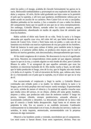 entre los palos y el musgo, acababa de clavarle furiosamente las garras en la
nariz. Retrocedió tambaleándose y prorrumpió en una explosión de alaridos de
dolor y sorpresa. Al oírlo, Kiche saltó gruñendo tan lejos como se lo permitió
el palo que la sujetaba, y allí tuvo que quedarse, terriblemente rabiosa por no
poder acudir en auxilio de su cachorro. Pero Castor Gris se reía a carcajadas,
dándose palmadas en los muslos, y fue a contarles el caso a todos los demás
del campamento hasta que no quedó ni uno que no se riera estrepitosamente.
Sin embargo, Colmillo Blanco, sentado sobre los cuartos traseros, gemía
desesperadamente, abandonado en medio de aquella clase de animales que
eran los hombres.
Había sufrido el dolor más fuerte de su vida. Tenía la nariz y la lengua
abrasadas por aquella cosa viva, del color del sol, que había brotado de las
manos de Castor Gris. Lloró y lloró hasta más no poder, y cada uno de sus
lamentos era recibido con nuevas explosiones de risa por parte de los hombres.
Trató de lamerse la nariz para calmar el dolor; pero también tenía la lengua
quemada, y al juntarse ambos daños, se producía otro mayor, por lo cual se
deshizo en nuevos gemidos, más desconsolada y desesperadamente que nunca.
Al fin sintió vergüenza de sí mismo. No desconocía la risa ni el significado
que tenía. Nosotros no comprendemos cómo puede ser que algunos animales
sepan lo que es la risa, y cuándo alguien se está riendo de ellos; pero Colmillo
Blanco lo sabía. Y se avergonzó de que aquellos animales que eran los
hombres se estuvieran burlando de él. Dio media vuelta y huyó, no del daño
que le había producido el fuego, sino de la risa, que le llegaba aún más hondo
y le dolía en el espíritu. Y voló al encuentro de Kiche, que, rabiosa aún, fuera
de sí y forcejeando con el palo que la sujetaba, era el único ser que no se reía
de él.
Fue oscureciendo el crepúsculo y llegó la noche, y Colmillo Blanco
continuaba aún echado junto a su madre. Le dolían todavía la nariz y la
lengua, pero le tenía perplejo otro mal mayor: sentía nostalgia. Experimentaba
un vacío, echaba de menos el silencio y la quietud de aquella covacha suya
que estaba cerca del arroyo, en un ribazo. ¡Había allí tanta gente, hombres,
mujeres y niños, que producían toda clase de molestos ruidos! Y luego los
perros, siempre riñendo, siempre pendencieros, armando alboroto y
ocasionando confusión y desorden. La descansada soledad de la única vida
que él conocía a fondo había desaparecido. Aquí hasta en el mismo aire
palpitaba la vida. Era un susurro o un zumbido incesante. Cambiando
continuamente en la intensidad o en el tono, le afectaba los nervios y todos sus
sentidos, le tenía inquieto, atemorizado, atormentándolo con la perpetua
amenaza de algo inminente.
Observó a los hombres yendo y viniendo, moviéndose por el campamento.
Les miró como si fueran dioses. Eran seres superiores, divinos. Para sus
 