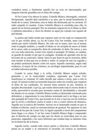 verdadero terror, y finalmente aquello fue un coro no interrumpido, que
ninguna relación guardaba con el ritmo del castigo.
Al fin Castor Gris detuvo la mano. Colmillo Blanco, derrengado, continuó
lloriqueando. Aquello dejó satisfecho a su amo, que lo arrojó brutalmente al
fondo de la canoa. Entretanto, esta se había ido deslizando por la corriente. El
indio empuñó el canalete. Como Colmillo Blanco le estorbaba para ello, lo
apartó de un furioso puntapié. Por un momento reapareció en el lobato su libre
e indómita naturaleza y clavó los dientes en aquel pie calzado con zapatos de
piel blanda.
La paliza que había tenido que soportar antes no fue nada en comparación
con la que recibió ahora. La ira de Castor Gris fue terrible, tanto como el
miedo que sintió Colmillo Blanco. No solo con la mano, sino con el mismo
remo le pegaba también, y cuando el lobato se vio arrojado de nuevo al fondo
de la canoa, todo su cuerpecillo, lleno de cardenales, le dolía. De nuevo, y esta
vez con toda intención, Castor Gris repitió el puntapié. El lobato, en cambio,
se guardó de morder el pie que lo castigaba. Acababa de aprender otra de las
lecciones de su cautiverio. Jamás, fuera lo que fuese lo que le ocurriera, debía
osar morder al dios que era su dueño y señor: el cuerpo de este era sagrado y
no podían profanarlo dientes como los suyos. Aquello constituía, según toda
evidencia, el mayor de los crímenes, un sacrilegio imperdonable, para el cual
no había tolerancia posible.
Cuando la canoa llegó a la orilla, Colmillo Blanco seguía echado,
gimiendo y en la inmovilidad completa, esperando que Castor Gris
manifestara su voluntad. El indio decidió que saltara a tierra, pues a ella lo
arrojó. El animal recibió un tremendo batacazo sobre las costillas que empeoró
el dolor de sus cardenales. Se arrastró hasta ponerse en pie, mientras se
quejaba desconsolado. Lip-Lip, que estaba observando toda la escena desde la
orilla, aprovechó la ocasión para arremeter contra él, derribándolo y clavando
los dientes en su cuerpo. Colmillo Blanco estaba ya demasiado extenuado para
defenderse, y seguramente la cosa hubiera terminado mal si no llega a ser por
otro puntapié de Castor Gris, que levantó en el aire a Lip-Lip con tal violencia
que lo envió a estrellarse contra el suelo a tres o cuatro metros de distancia.
Aquello era la justicia del hombre. Incluso en el lamentable estado en que se
hallaba el lobezno, sintió un estremecimiento de gratitud. Sin apartarse lo más
mínimo de los pies de Castor Gris, le siguió cojeando a través del campamento
hasta llegar a su choza. Y así fue como Colmillo Blanco llegó a comprender
que el derecho de castigo era algo que los dioses se reservaban para su uso
particular, negándolo a los seres inferiores que estaban bajo su dominio. Esta
era la brutal ley de la fuerza.
Aquella noche, cuando todo estuvo quieto y silencioso, Colmillo Blanco
pensó en su madre y le entristeció el recuerdo. Su tristeza se manifestó
 