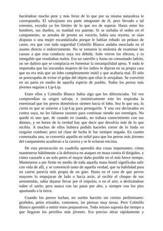 haciéndose mucho peor y más feroz de lo que por su misma naturaleza le
correspondía. El salvajismo era parte integrante de él, pero llevado a tal
extremo, excedía ya los límites de lo que era de esperar. Hasta entre los
hombres, sus dueños, su maldad era patente. Si se turbaba el orden en el
campamento, se armaba de pronto un vocerío, había una reyerta, se oían
disputas o una mujer escandalizaba porque le habían robado un pedazo de
carne, era que con toda seguridad Colmillo Blanco andaba mezclado en el
asunto directa o indirectamente. No se tomaron la molestia de examinar las
causas a que esta conducta suya era debida. Solo vieron los efectos, y es
innegable que resultaban malos. Era un raterillo y hasta un consumado ladrón,
un ser dañino que se complacía en fomentar la intranquilidad ajena. Y nada le
importaba que las iracundas mujeres de los indios le dijeran en su propia cara
que no era más que un lobo completamente inútil y que acabaría mal. Él sólo
se preocupaba de evitar el golpe del objeto que ellas le arrojaban. Se convirtió
en un paria en medio de aquella especie de pueblo. Todos los perros más
jóvenes seguían a Lip-Lip.
Entre ellos y Colmillo Blanco había algo que los diferenciaba. Tal vez
comprendían su origen salvaje, e instintivamente este les inspiraba la
enemistad que los perros domésticos sienten hacia el lobo. Sea lo que sea, lo
cierto es que se unieron a Lip-Lip para perseguirlo. Y una vez declarados en
contra suya, no les faltaron razones para continuar siendo sus enemigos. No
quedó ni uno que, de cuando en cuando, no trabara conocimiento con sus
dientes, y en honor de la verdad hay que decir que devolvía más de lo que
recibía. A muchos de ellos hubiera podido hacerles correr de lo lindo en
singular combate; pero tal clase de lucha le fue siempre negada. En cuanto
comenzaba una, se convertía aquello en señal para que los perros más jóvenes
del campamento acudieran a la carrera y se le echaran encima.
De esta persecución en cuadrilla aprendió dos cosas importantes: cómo
mantenerse hábilmente a la defensiva en ataques en masa contra él dirigidos, y
cómo causarle a un solo perro el mayor daño posible en el más breve tiempo.
Mantenerse a pie firme en medio de toda aquella masa hostil significaba salir
con vida de allí, y se convenció tanto de aquella verdad, que su habilidad para
no caerse parecía más propia de un gato. Hasta en el caso de que perros
mayores lo empujaran de lado o hacia atrás, al recibir el choque de sus
arremetidas, sabía dejarse llevar por el impulso, o en el aire, o deslizándose
sobre el suelo; pero nunca con las patas por alto, y siempre con los pies
apuntando a la tierra.
Cuando los perros luchan, no suelen hacerlo sin ciertos preliminares:
gruñidos, pelos erizados, contoneos, las piernas muy tiesas. Pero Colmillo
Blanco aprendió a omitir estos preparativos. Todo retraso suponía dar tiempo a
que llegaran los perrillos más jóvenes. Era preciso obrar rápidamente y
 