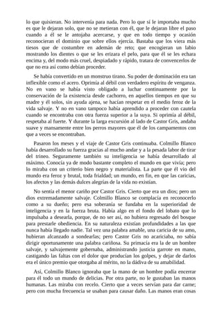 lo que quisieran. No intervenía para nada. Pero lo que sí le importaba mucho
es que le dejaran solo, que no se metieran con él, que le dejaran libre el paso
cuando a él se le antojaba acercarse, y que en todo tiempo y ocasión
reconocieran el dominio que sobre ellos ejercía. Bastaba que los viera más
tiesos que de costumbre en ademán de reto; que encogieran un labio
mostrando los dientes o que se les erizara el pelo, para que él se les echara
encima y, del modo más cruel, despiadado y rápido, tratara de convencerlos de
que no era así como debían proceder.
Se había convertido en un monstruo tirano. Su poder de dominación era tan
inflexible como el acero. Oprimía al débil con verdadero espíritu de venganza.
No en vano se había visto obligado a luchar continuamente por la
conservación de la existencia desde cachorro, en aquellos tiempos en que su
madre y él solos, sin ayuda ajena, se hacían respetar en el medio feroz de la
vida salvaje. Y no en vano tampoco había aprendido a proceder con cautela
cuando se encontraba con otra fuerza superior a la suya. Si oprimía al débil,
respetaba al fuerte. Y durante la larga excursión al lado de Castor Gris, andaba
suave y mansamente entre los perros mayores que él de los campamentos con
que a veces se encontraban.
Pasaron los meses y el viaje de Castor Gris continuaba. Colmillo Blanco
había desarrollado su fuerza gracias al mucho andar y a la pesada labor de tirar
del trineo. Seguramente también su inteligencia se había desarrollado al
máximo. Conocía ya de modo bastante completo el mundo en que vivía; pero
lo miraba con un criterio bien negro y materialista. La parte que él vio del
mundo era feroz y brutal, toda frialdad; un mundo, en fin, en que las caricias,
los afectos y las demás dulces alegrías de la vida no existían.
No sentía el menor cariño por Castor Gris. Cierto que era un dios; pero un
dios extremadamente salvaje. Colmillo Blanco se complacía en reconocerlo
como a su dueño; pero esa soberanía se fundaba en la superioridad de
inteligencia y en la fuerza bruta. Había algo en el fondo del lobato que lo
impulsaba a desearla, porque, de no ser así, no hubiera regresado del bosque
para prestarle obediencia. En su naturaleza existían profundidades a las que
nunca había llegado nadie. Tal vez una palabra amable, una caricia de su amo,
hubieran alcanzado a sondearlas; pero Castor Gris no acariciaba, no sabía
dirigir oportunamente una palabra cariñosa. Su primacía era la de un hombre
salvaje, y salvajemente gobernaba, administrando justicia garrote en mano,
castigando las faltas con el dolor que producían los golpes, y dejar de darlos
era el único premio que otorgaba al mérito, no la dádiva de su amabilidad.
Así, Colmillo Blanco ignoraba que la mano de un hombre podía encerrar
para él todo un mundo de delicias. Por otra parte, no le gustaban las manos
humanas. Las miraba con recelo. Cierto que a veces servían para dar carne;
pero con mucha frecuencia se usaban para causar daño. Las manos eran cosas
 