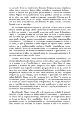 de las cuales debía uno mantenerse a distancia. Arrojaban piedras, empuñaban
palos, trancas enormes y látigos; daban bofetadas y zurraban de lo lindo, y
cuando le tocaban a él, procuraban que le doliera el contacto de diferentes
formas. Al pasar por aldeas forasteras, había aprendido también que las manos
de los niños eran crueles cuando se trataba de causar daño. Una vez, uno de
esos mocosos indios casi le salta un ojo. La consecuencia fue que miraba aún
con más recelo a los niños que a los hombres. No podía sufrirlos. En cuanto
los veía venir, se marchaba.
En una de esas aldeas situada junto al lago de los Esclavos, tanto le irritó la
maldad humana, que llegó a faltar a la ley que le había enseñado Castor Gris:
es decir, que cometió el imperdonable crimen de morder a uno de los dioses.
Según la costumbre de todos los perros en todas las aldeas, Colmillo Blanco
iba buscando algo para comer. Un muchacho estaba partiendo a hachazos
carne de alce helada y algunos trozos, delgados como astillas, caían esparcidos
sobre la nieve. Colmillo Blanco, que iba precisamente merodeando en busca
de carne, se paró y comenzó a comer algunos de aquellos trozos. Observó
entonces que el muchacho dejaba en el suelo el hacha y empuñaba una enorme
tranca. Colmillo Blanco dio un salto en el preciso momento en que el trancazo
iba a caer sobre él. El muchacho emprendió entonces la persecución, y él,
como novato en la aldea, huyó pasando entre dos chozas, para encontrarse de
pronto acorralado contra un alto ribazo.
No había modo de huir. La única salida se hallaba entre las dos chozas, y la
interceptaba el muchacho. Tranca en mano y dispuesto a pegarlo, avanzó sobre
su acorralada presa. Colmillo Blanco estaba furioso. Hizo frente al rapaz,
gruñendo y erizando los pelos, indignado ante aquella injusticia. Sabía
perfectamente que, según la costumbre, que para él era la ley, las sobras de
carne que no se aprovechaban, como aquellos diminutos trozos helados, eran
del perro que las encontrase. No había hecho nada malo, no había infringido
ninguna ley, y, sin embargo, aquel muchacho se preparaba para darle una
paliza. Colmillo Blanco no se dio cuenta casi de lo que hizo. Fue cosa de un
momento en que un rabioso impulso lo cegó. Y tan rápidamente se convirtió
en acción que tampoco el muchacho pudo percatarse del peligro. De lo único
que se enteró fue de que, sin saber cómo, caía tendido sobre la nieve, y de que
la mano con que sostenía el garrote la tenía ahora rajada profundamente por
los colmillos de la que creyó su víctima.
Pero Colmillo Blanco comprendió perfectamente que acababa de infringir
la ley dictada por los hombres. Había hundido los dientes en la sagrada carne
de uno de ellos y no podía esperar ya otra cosa que un castigo terrible. Huyó
en busca de Castor Gris, agachándose detrás de este, en demanda de
protección, cuando vio que llegaban el herido y su familia pidiendo venganza.
Pero tuvieron que volverse sin haberla obtenido. Castor Gris defendió a
 