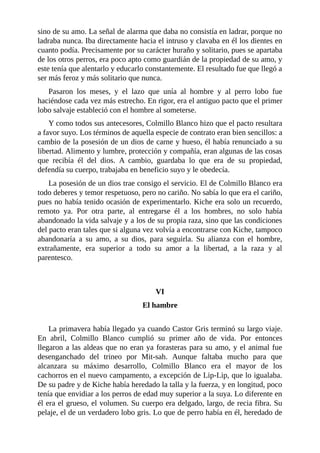 sino de su amo. La señal de alarma que daba no consistía en ladrar, porque no
ladraba nunca. Iba directamente hacia el intruso y clavaba en él los dientes en
cuanto podía. Precisamente por su carácter huraño y solitario, pues se apartaba
de los otros perros, era poco apto como guardián de la propiedad de su amo, y
este tenía que alentarlo y educarlo constantemente. El resultado fue que llegó a
ser más feroz y más solitario que nunca.
Pasaron los meses, y el lazo que unía al hombre y al perro lobo fue
haciéndose cada vez más estrecho. En rigor, era el antiguo pacto que el primer
lobo salvaje estableció con el hombre al someterse.
Y como todos sus antecesores, Colmillo Blanco hizo que el pacto resultara
a favor suyo. Los términos de aquella especie de contrato eran bien sencillos: a
cambio de la posesión de un dios de carne y hueso, él había renunciado a su
libertad. Alimento y lumbre, protección y compañía, eran algunas de las cosas
que recibía él del dios. A cambio, guardaba lo que era de su propiedad,
defendía su cuerpo, trabajaba en beneficio suyo y le obedecía.
La posesión de un dios trae consigo el servicio. El de Colmillo Blanco era
todo deberes y temor respetuoso, pero no cariño. No sabía lo que era el cariño,
pues no había tenido ocasión de experimentarlo. Kiche era solo un recuerdo,
remoto ya. Por otra parte, al entregarse él a los hombres, no solo había
abandonado la vida salvaje y a los de su propia raza, sino que las condiciones
del pacto eran tales que si alguna vez volvía a encontrarse con Kiche, tampoco
abandonaría a su amo, a su dios, para seguirla. Su alianza con el hombre,
extrañamente, era superior a todo su amor a la libertad, a la raza y al
parentesco.
VI
El hambre
La primavera había llegado ya cuando Castor Gris terminó su largo viaje.
En abril, Colmillo Blanco cumplió su primer año de vida. Por entonces
llegaron a las aldeas que no eran ya forasteras para su amo, y el animal fue
desenganchado del trineo por Mit-sah. Aunque faltaba mucho para que
alcanzara su máximo desarrollo, Colmillo Blanco era el mayor de los
cachorros en el nuevo campamento, a excepción de Lip-Lip, que lo igualaba.
De su padre y de Kiche había heredado la talla y la fuerza, y en longitud, poco
tenía que envidiar a los perros de edad muy superior a la suya. Lo diferente en
él era el grueso, el volumen. Su cuerpo era delgado, largo, de recia fibra. Su
pelaje, el de un verdadero lobo gris. Lo que de perro había en él, heredado de
 