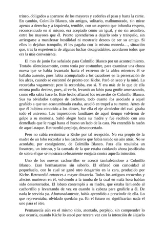 trineo, obligados a apartarse de los mayores y cederles el paso y hasta la carne.
En cambio, Colmillo Blanco, sin amigos, solitario, malhumorado, sin mirar
apenas a derecha y a izquierda, temible, con un aspecto que infundía respeto,
reconcentrado en sí mismo, era aceptado como un igual, y no sin asombro,
entre los mayores que él. Pronto aprendieron a dejarlo solo y tranquilo, sin
arriesgarse a manifestar hostilidad ni mostrarle deseos de ser su amigo. Si
ellos lo dejaban tranquilo, él les pagaba con la misma moneda…, situación
que, tras la experiencia de algunas luchas desagradables, acordaron todos que
era la más conveniente.
El mes de junio fue señalado para Colmillo Blanco por un acontecimiento.
Trotaba silenciosamente, como tenía por costumbre, para examinar una choza
nueva que se había levantado hacia el extremo de la aldea mientras él se
hallaba ausente, pues había acompañado a los cazadores en la persecución de
los alces, cuando se encontró de pronto con Kiche. Paró en seco y la miró. La
recordaba vagamente; pero la recordaba, eso sí. Y era más de lo que de ella
misma podía decirse, pues, al verlo, levantó un labio para gruñir amenazando,
como ella sabía hacerlo. Este hecho afianzó los recuerdos de Colmillo Blanco.
Sus ya olvidados tiempos de cachorro, todo cuanto iba asociado a aquel
gruñido a que tan acostumbrado estaba, acudió en tropel a su mente. Antes de
que él hubiera conocido a los dioses, fue ella el eje alrededor del cual giraba
todo el universo. Las impresiones familiares de aquel tiempo volvieron de
golpe a su memoria. Saltó alegre hacia su madre y fue recibido con una
dentellada que le rasgó hasta el hueso un lado de la cara. No entendió la razón
de aquel ataque. Retrocedió perplejo, desconcertado.
Pero no cabía recriminar a Kiche por tal recepción. No era propio de la
madre de un lobo recordar a los cachorros que había tenido un año atrás. No se
acordaba, por consiguiente, de Colmillo Blanco. Para ella resultaba un
forastero, un intruso, y la camada de la que estaba cuidando ahora justificaba
de sobra el que se mostrara celosamente enojada contra aquella intrusión.
Uno de los nuevos cachorrillos se acercó tambaleándose a Colmillo
Blanco. Eran hermanastros sin saberlo. Él olfateó con curiosidad al
pequeñuelo, con lo cual se ganó otro desgarrón en la cara, producido por
Kiche. Retrocedió entonces a mayor distancia. Todos los antiguos recuerdos y
afectos murieron en él, volviendo a la tumba de la cual en mala hora habían
sido desenterrados. El lobato contempló a su madre, que estaba lamiendo al
cachorrillo y levantando de vez en cuando la cabeza para gruñirle a él. De
nada le serviría ya. Afortunadamente, había aprendido a prescindir de ella. Lo
que representaba, olvidado quedaba ya. En el futuro no significarían nada el
uno para el otro.
Permanecía aún en el mismo sitio, atontado, perplejo, sin comprender lo
que ocurría, cuando Kiche lo atacó por tercera vez con la intención de alejarlo
 