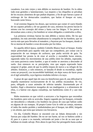 cazadores. Los más viejos y más débiles se murieron de hambre. En la aldea
todo eran gemidos y lamentaciones. Las mujeres y los chiquillos se privaban
de los escasos alimentos de que podían disponer, a fin de que fueran a parar al
estómago de los demacrados cazadores, que batían el bosque en vano,
buscando carne fresca.
A tal extremo llegaron los dioses, que tuvieron que comer el cuero blando
de sus zapatos peludos y de sus guantes de caza, mientras los perros hacían lo
mismo con los correajes del trineo y hasta con los látigos. Y los perros se
devoraban unos a otros y los hombres se veían obligados a comérselos a ellos.
Las primeras víctimas fueron los más débiles y menos útiles. De los que
quedaban, los más atrevidos abandonaron la compañía de los hombres, que no
servía más que para llevarlos al matadero, y huyeron por los bosques, donde al
fin se morían de hambre o eran devorados por los lobos.
En aquella difícil época, también Colmillo Blanco huyó al bosque. Estaba
mejor pertrechado para aquella vida que sus compañeros, por contar con la
preparación de sus tiempos de cachorro, que podía servirle de guía. Su
especialidad fue pronto la de estar al acecho y escondido horas enteras,
siguiendo todos los movimientos de una ardilla entre los árboles, esperando,
con tanta paciencia como hambre, a que el roedor se atreviera a descender al
suelo. Aun entonces no se precipitaba, sino que seguía esperando hasta
asegurar el golpe, antes de que la ardilla trepara de nuevo a su refugio de los
árboles. Entonces, y solo entonces, se lanzaba él desde su escondrijo, rápido
como un proyectil, con inconcebible habilidad, sin dejar nunca de hacer presa
en el ágil animalillo, cuya ligereza resultaba inferior a la suya.
A pesar de que aquel tipo de caza era beneficioso para él, una dificultad le
impedía mantenerse exclusivamente de él: las ardillas escaseaban. Se vio,
pues, obligado a cazar animales de inferior tamaño. Atormentado por el
hambre, llegó a desenterrar musgaños de sus madrigueras y a alimentarse de
ellos, o a batirse con alguna comadreja, tan hambrienta como él y aun más
feroz.
Hubo momentos en que volvió a acercarse a las hogueras que encendían
los hombres; pero solo se acercaba. Seguía vagando por los bosques, evitando
ser descubierto y robando a los hombres las piezas de caza que habían caído
en algunas de sus trampas. Al propio Castor Gris le robó un conejo, mientras
el indio iba medio perdido y tambaleándose por el bosque, tan débil, fatigado
y sin aliento, que tenía que sentarse con frecuencia.
Un día, Colmillo Blanco se encontró con un lobato demacrado y sin
fuerzas por culpa del hambre. De no ser tan fuerte, tal vez se hubiera unido a
él, para ir a parar a su manada, volviendo así junto a los de su raza que se
hallaban en estado salvaje. Pero ahora lo que hizo fue perseguirlo hasta acabar
 