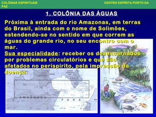 Próxima à entrada do rio Amazonas, em terrasPróxima à entrada do rio Amazonas, em terras
do Brasil, ainda com o nome de Solimões,do Brasil, ainda com o nome de Solimões,
estendendo-se no sentido em que correm asestendendo-se no sentido em que correm as
águas do grande rio, no seu encontro com oáguas do grande rio, no seu encontro com o
mar.mar.
Sua especialidadeSua especialidade: receber os desencarnados: receber os desencarnados
por problemas circulatórios e que sãopor problemas circulatórios e que são
afetados no perispírito, pela impressão daafetados no perispírito, pela impressão da
doença.doença.
1. COLÔNIA DAS ÁGUAS
COLÔNIAS ESPIRITUAIS CENTRO ESPÍRITA PORTO DA
PAZ
 