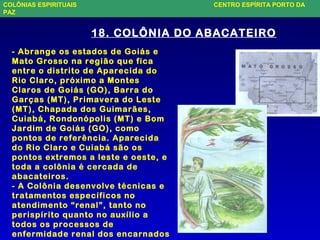 18. COLÔNIA DO ABACATEIRO
- Abrange os estados de Goiás e
Mato Grosso na região que fica
entre o distrito de Aparecida do
Rio Claro, próximo a Montes
Claros de Goiás (GO), Barra do
Garças (MT), Primavera do Leste
(MT), Chapada dos Guimarães,
Cuiabá, Rondonópolis (MT) e Bom
Jardim de Goiás (GO), como
pontos de referência. Aparecida
do Rio Claro e Cuiabá são os
pontos extremos a leste e oeste, e
toda a colônia é cercada de
abacateiros.
- A Colônia desenvolve técnicas e
tratamentos específicos no
atendimento “renal”, tanto no
perispírito quanto no auxílio a
todos os processos de
enfermidade renal dos encarnados
COLÔNIAS ESPIRITUAIS CENTRO ESPÍRITA PORTO DA
PAZ
 