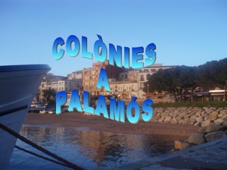COLÒNIES  A PALAMÓS 