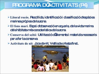 Litoral rocós.  Recollida, identificació i classificació d'espècies marines pròpies de la zona. El fons marí.  Espai d'observació en aquaris, de la vida marina dels hàbitats més característics de la zona. Conserva del seitó:  Utilització d’elements i materials necessaris per a fer la conserva Activitats de nit.  Jocs de nit. Vetllada o festa final. PROGRAMA D’ACTIVITATS (P4) 