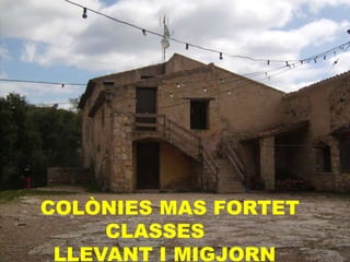 COLÒNIES MAS FORTET
CLASSES
LLEVANT I MIGJORN
 