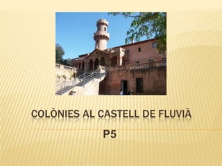 COLÒNIES AL CASTELL DE FLUVIÀ
            P5
 