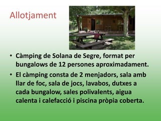 Allotjament
• Càmping de Solana de Segre, format per
bungalows de 12 persones aproximadament.
• El càmping consta de 2 menjadors, sala amb
llar de foc, sala de jocs, lavabos, dutxes a
cada bungalow, sales polivalents, aigua
calenta i calefacció i piscina pròpia coberta.
 
