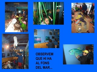 OBSERVEM
QUE HI HA
AL FONS
DEL MAR...
 