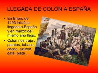 LLEGADA DE COLÓN A ESPAÑA En Enero de 1493 inició la llegada a España y en marzo del mismo año llegó.  Colón nos trajo : patatas, tabaco, cacao, azúcar, café, plata … 
