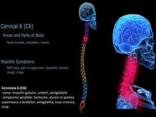 Coloana vertebrala | PPS