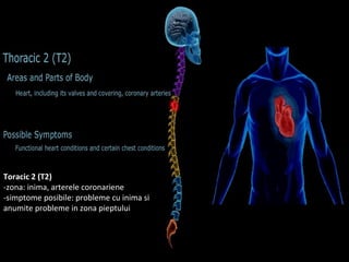 Toracic 2 (T2)
-zona: inima, arterele coronariene
-simptome posibile: probleme cu inima si
anumite probleme in zona pieptului
 