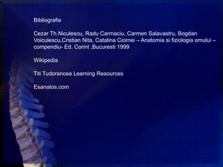 Bibliografie

Cezar Th.Niculescu, Radu Carmaciu, Carmen Salavastru, Bogdan
Voiculescu,Cristian Nita, Catalina Ciornei – Anatomia si fiziologia omului –
compendiu- Ed. Corint ,Bucuresti 1999

Wikipedia

Titi Tudorancea Learning Resources

Esanatos.com
 